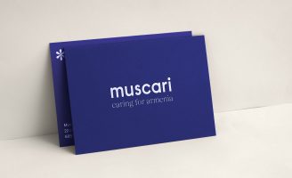 Muscari Association Brand Design by Studio Halley&Co