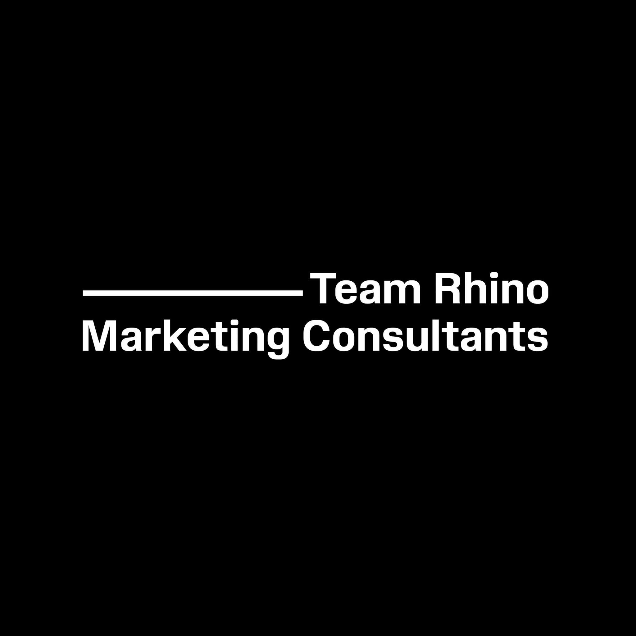 Team Rhino Marketing Consulting Rebranding