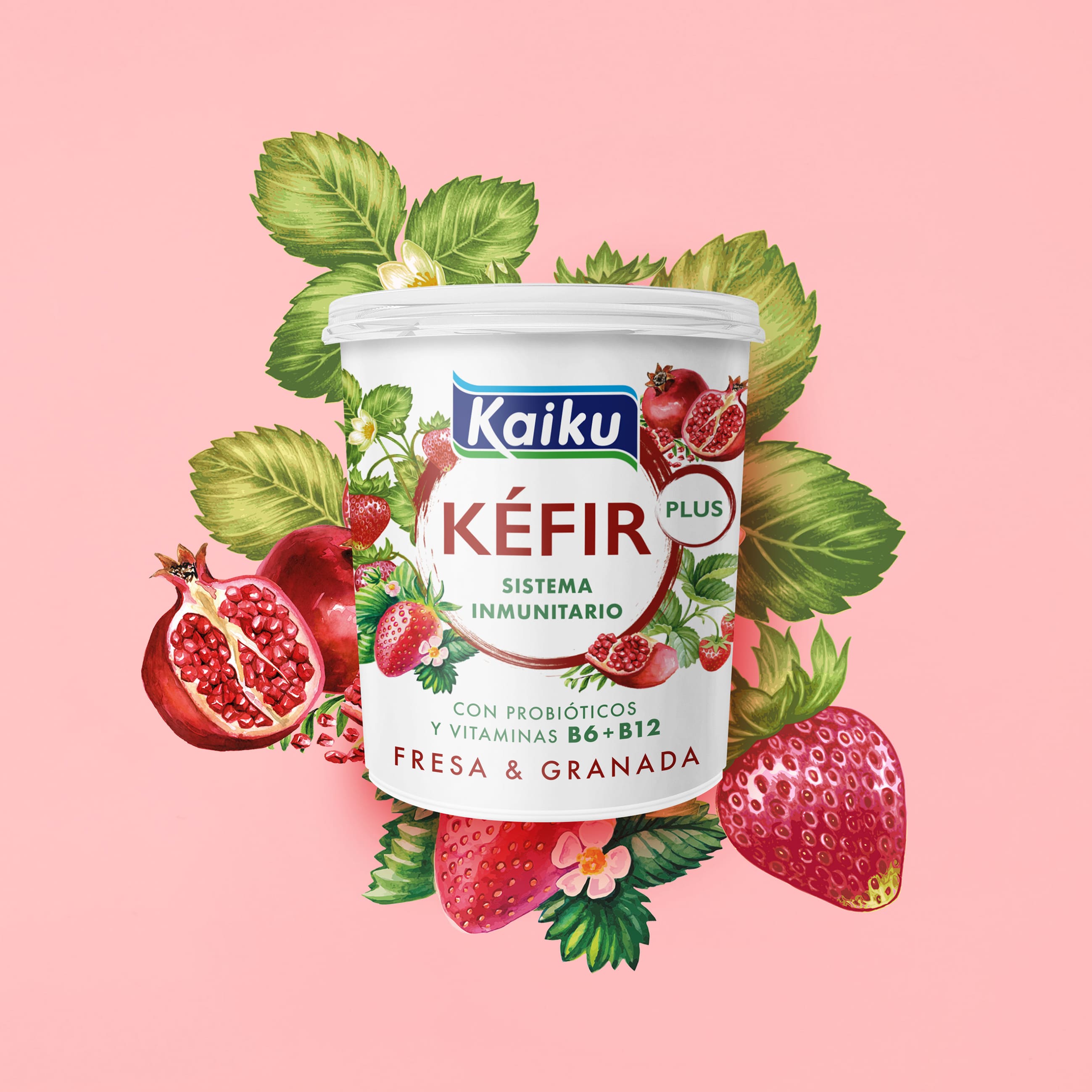 Kaiku Packaging Design – Super Kéfir for Better Health
