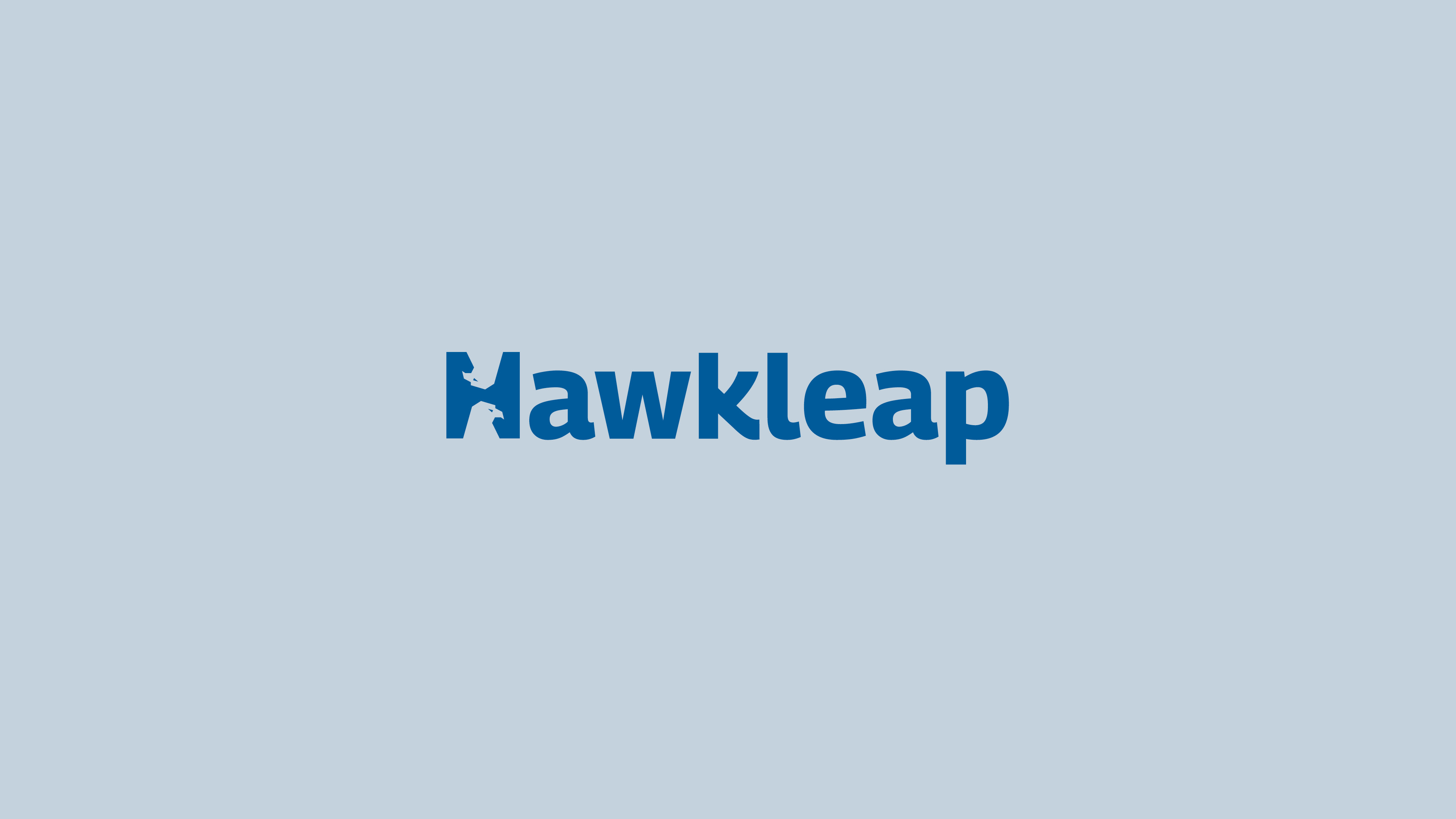 Brand Design of Hawkleap – The Art of Designing for the Aviation Industry