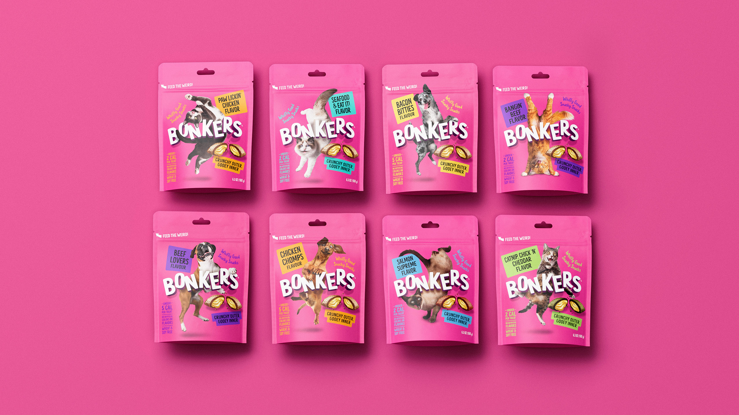 Branding Bonkers The Vibrant and Playful Pet Treat Brand Creating a Buzz