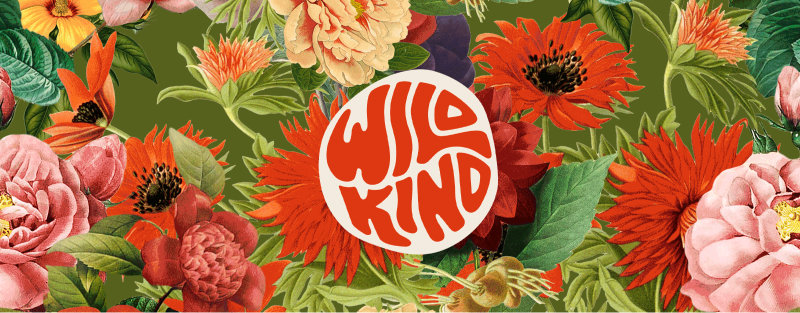 CC & Co Studio Creates a New Brand for WildKind