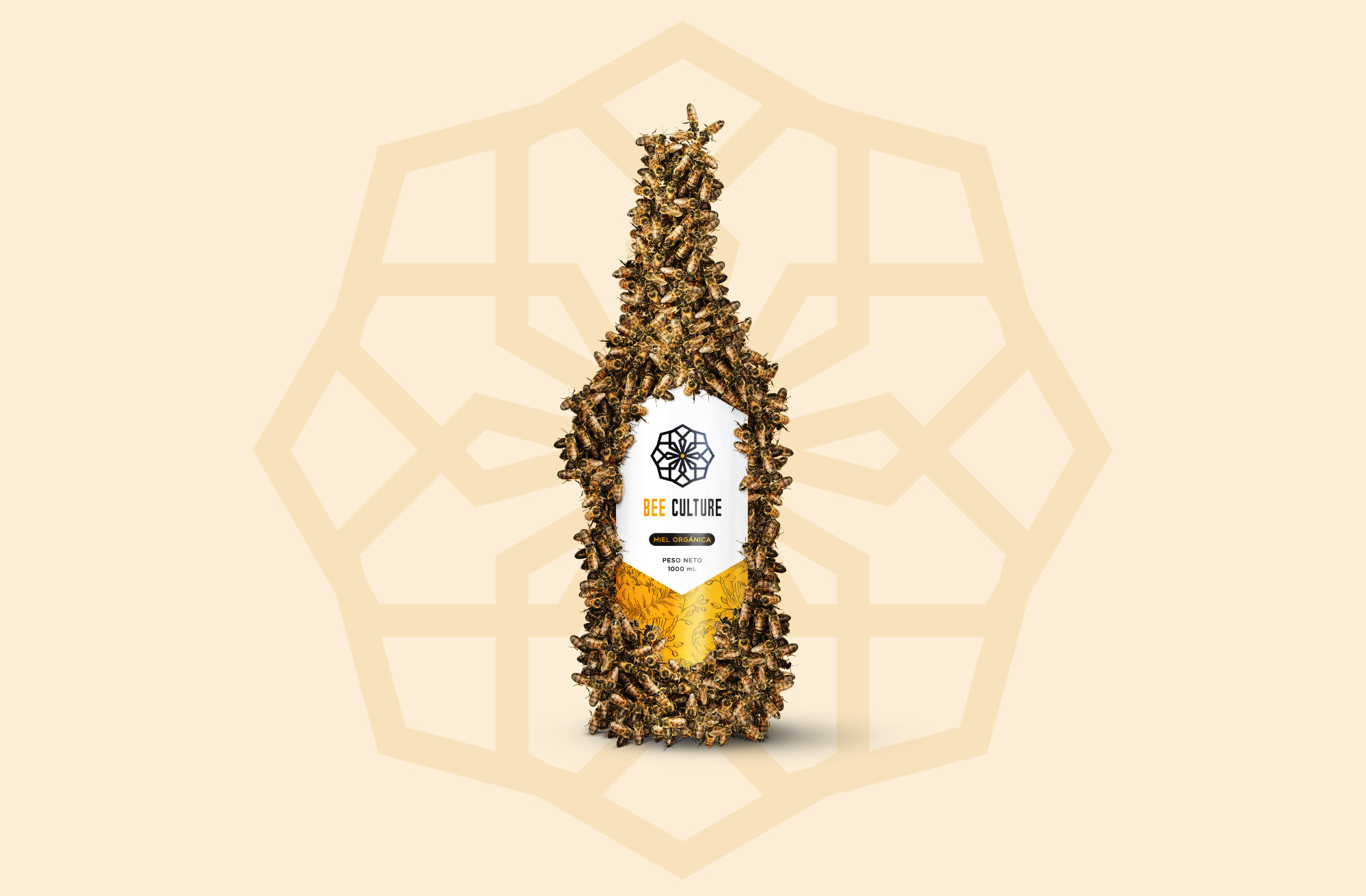 Visual Identity for Ecuadorian Organic Honey Brand Bee Culture