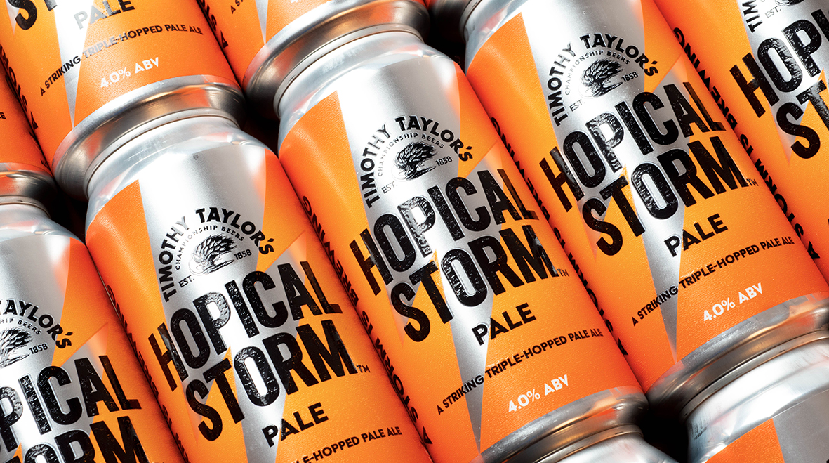Hopical Storm by Timothy Taylor’s