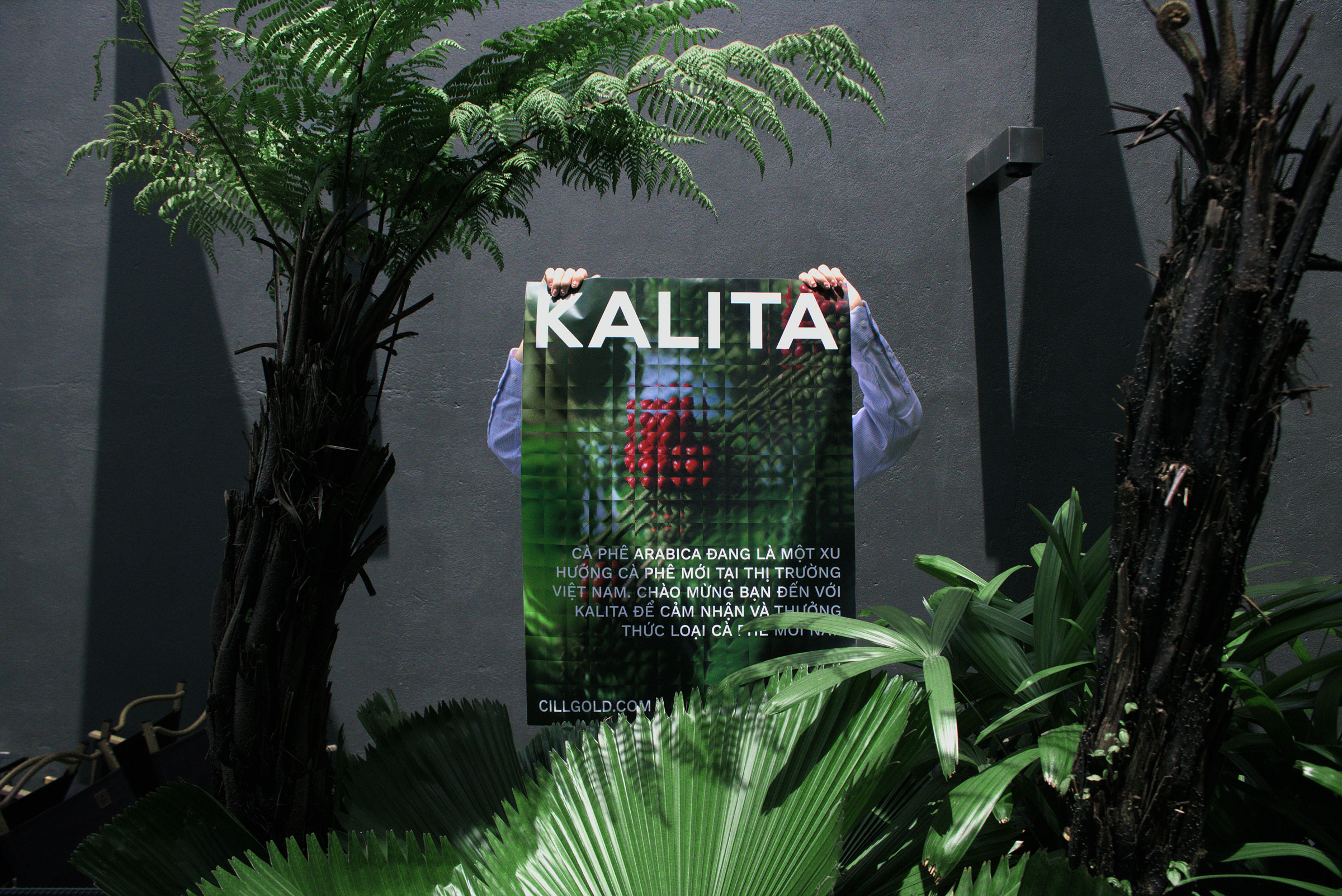 Kalita Kafé Branding by Cillgold: Embracing the Natural Essence of Pure Coffee in Every Cup