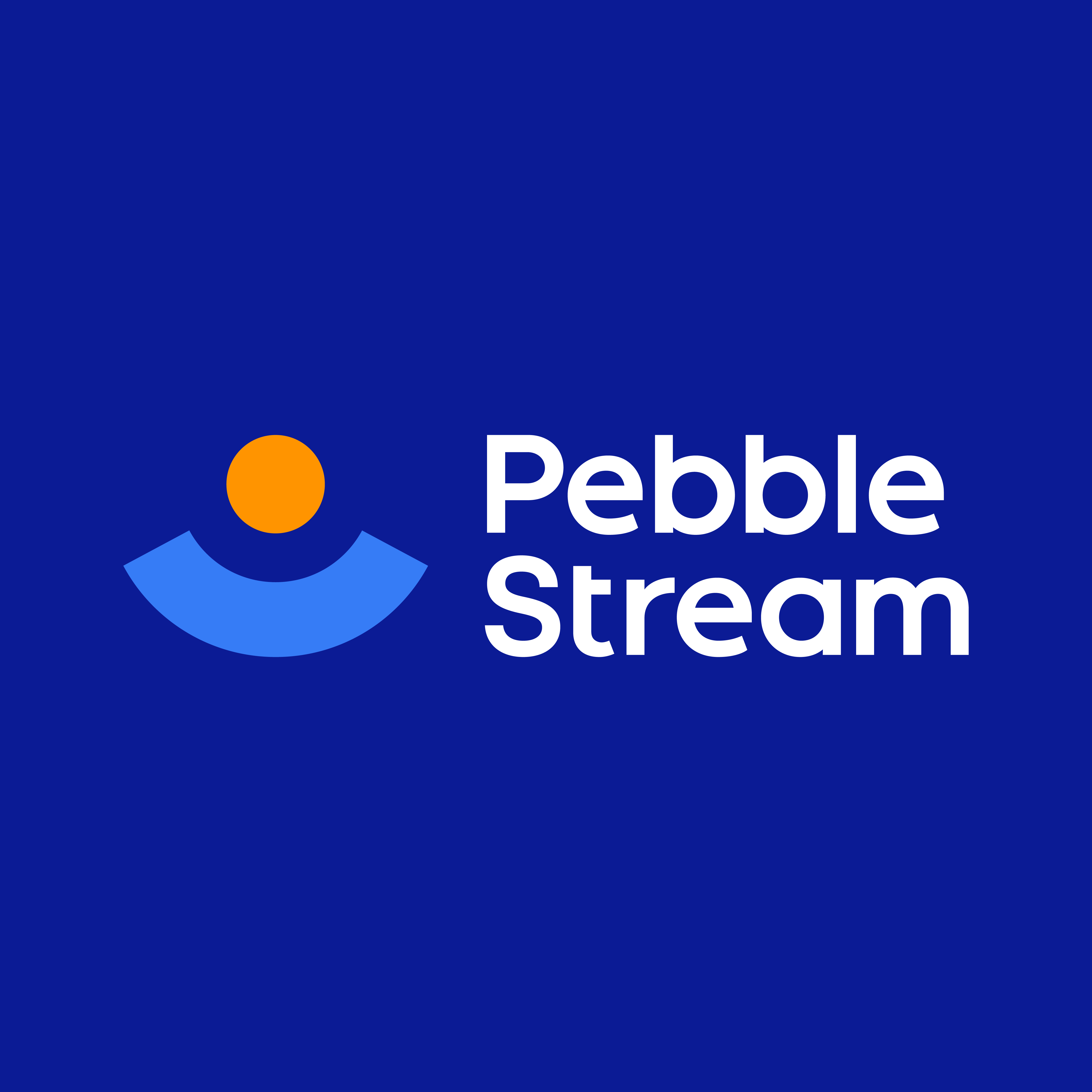 Pebble Stream Brand Identity