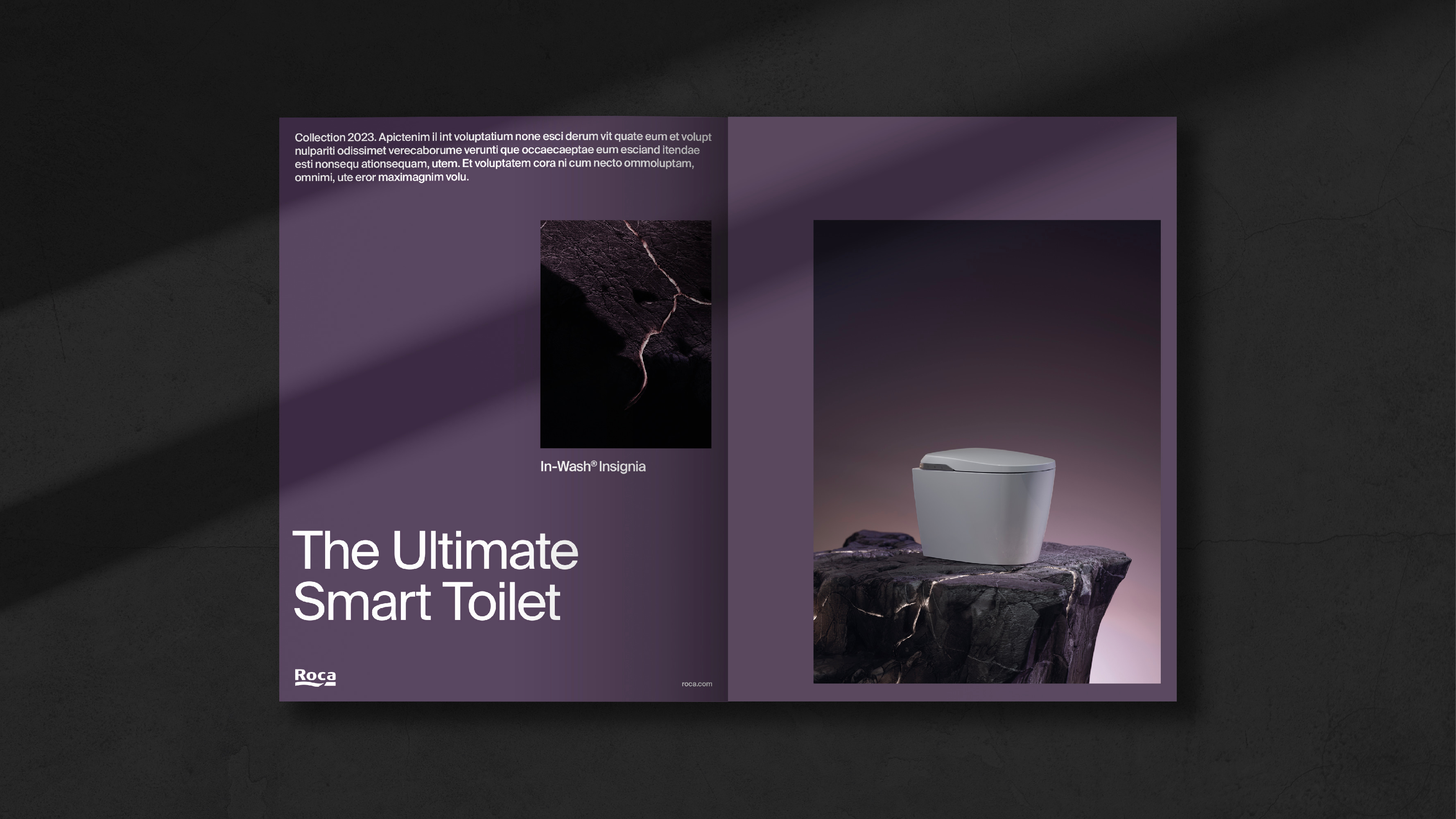 Roca Smart Toilet: Technology Emerging From Nature - World Brand Design ...