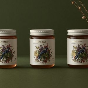 Nature Inspired and Eco-Conscious Packaging Design for Honeyeater- A Delicate Balance