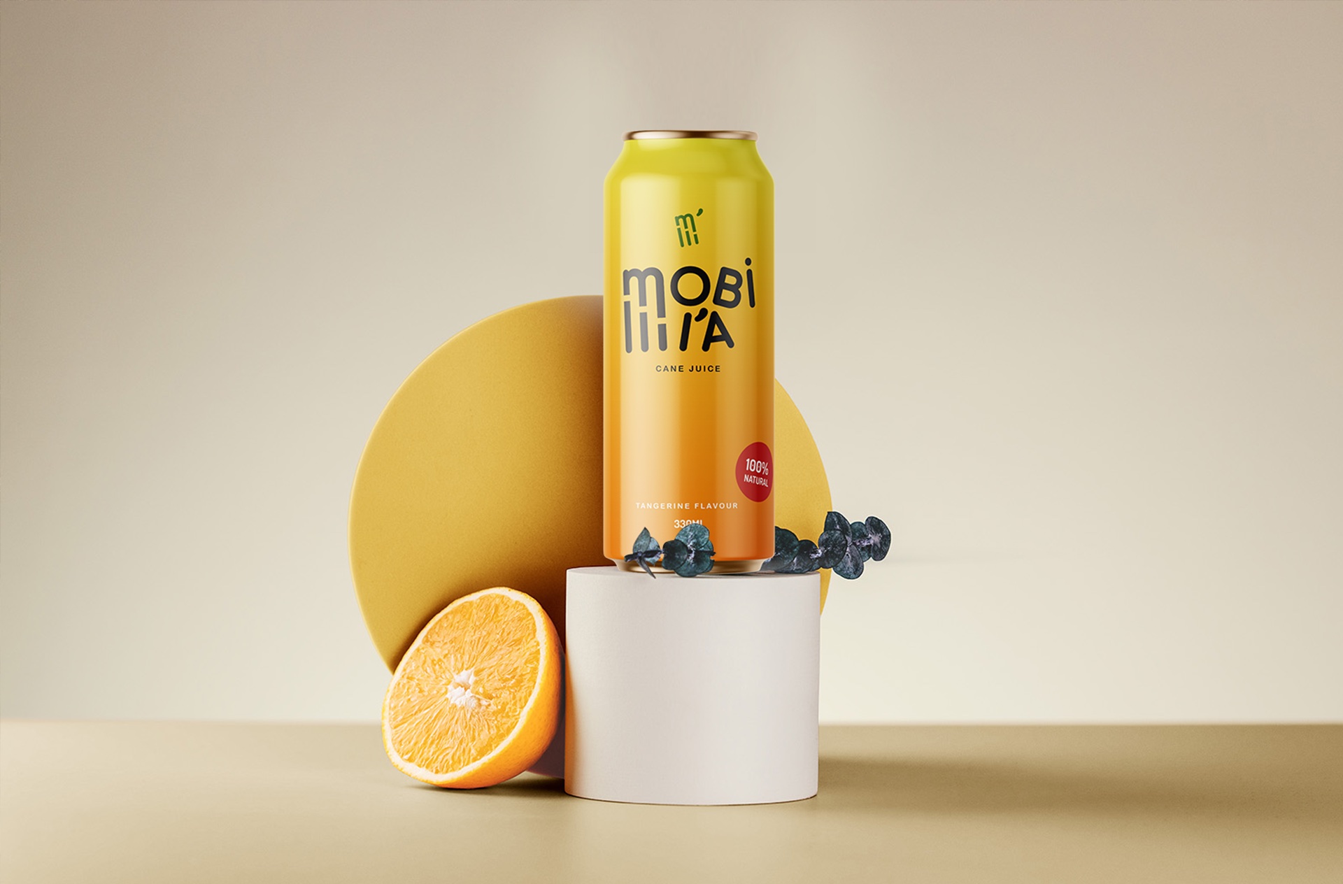 Project Mobi Mi’a Branding and Packaging