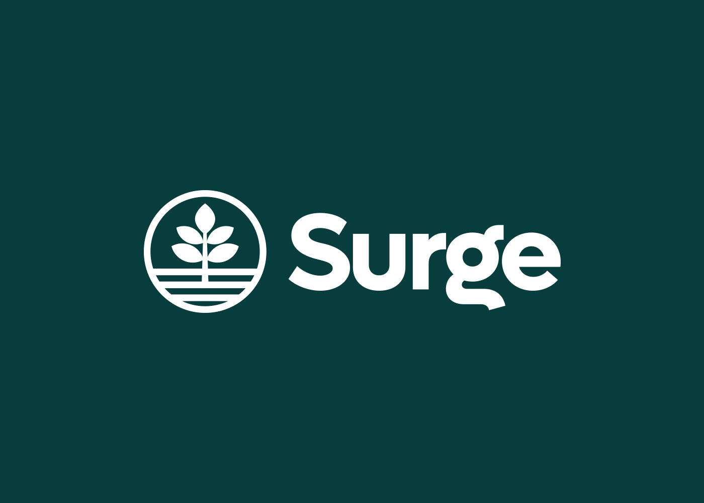 Surge Brand Design