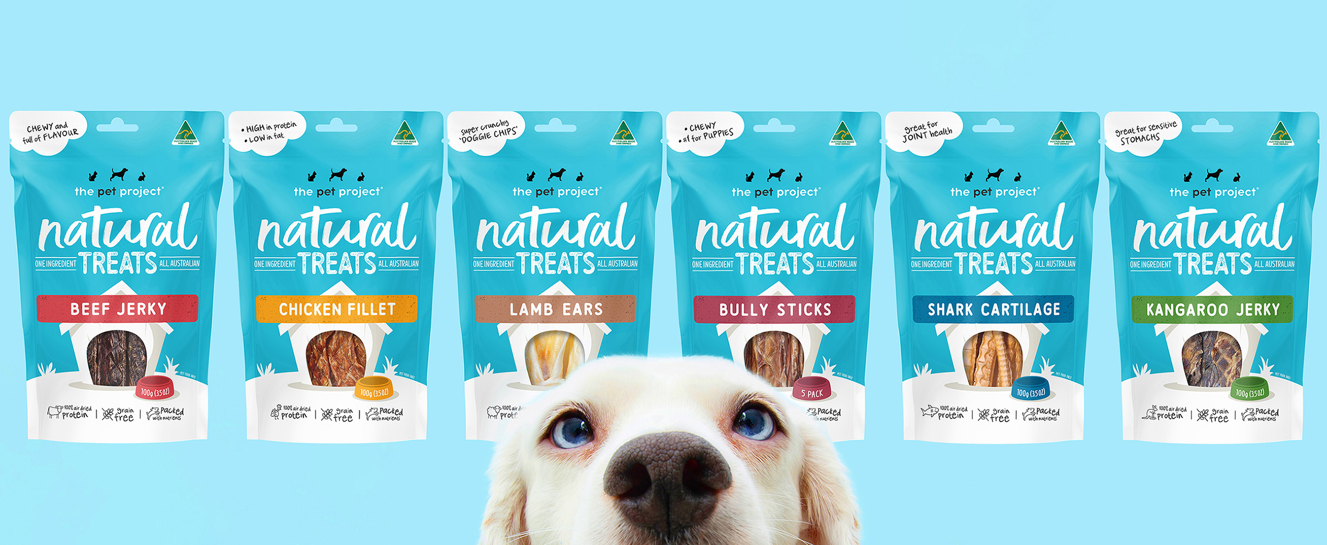The Pet Project Natural Treats Branding and Packaging Design
