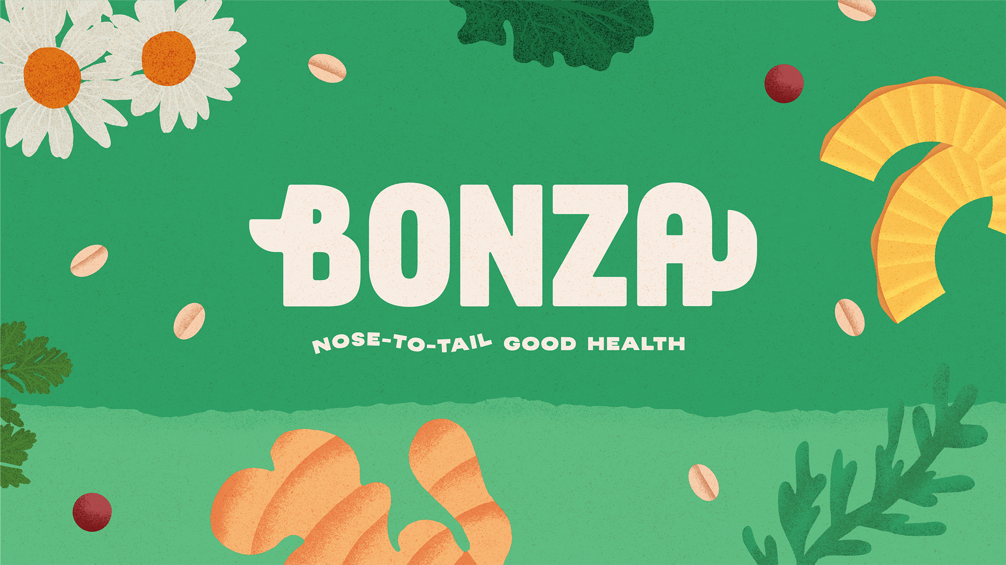 Bonza Branding – Nose-to-Tail Good Health