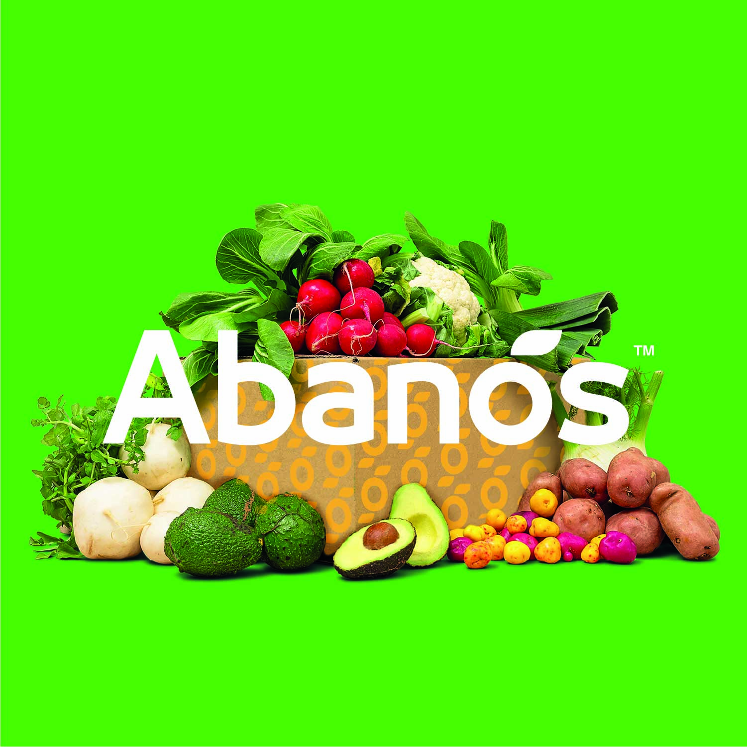 Abanos Market Redefining Fresh Food Shopping with a Fresh Rebrand and Design