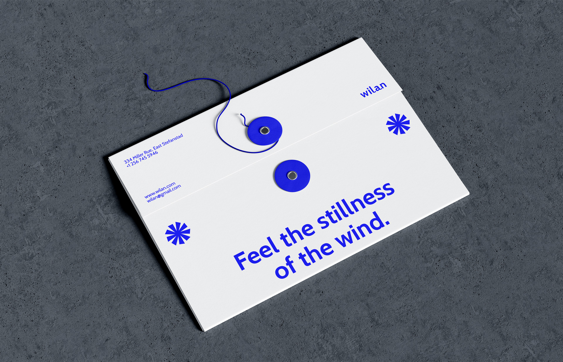 The Brand Identity That Aims to Emphasise Balance in Electric Fan Production for Wilan