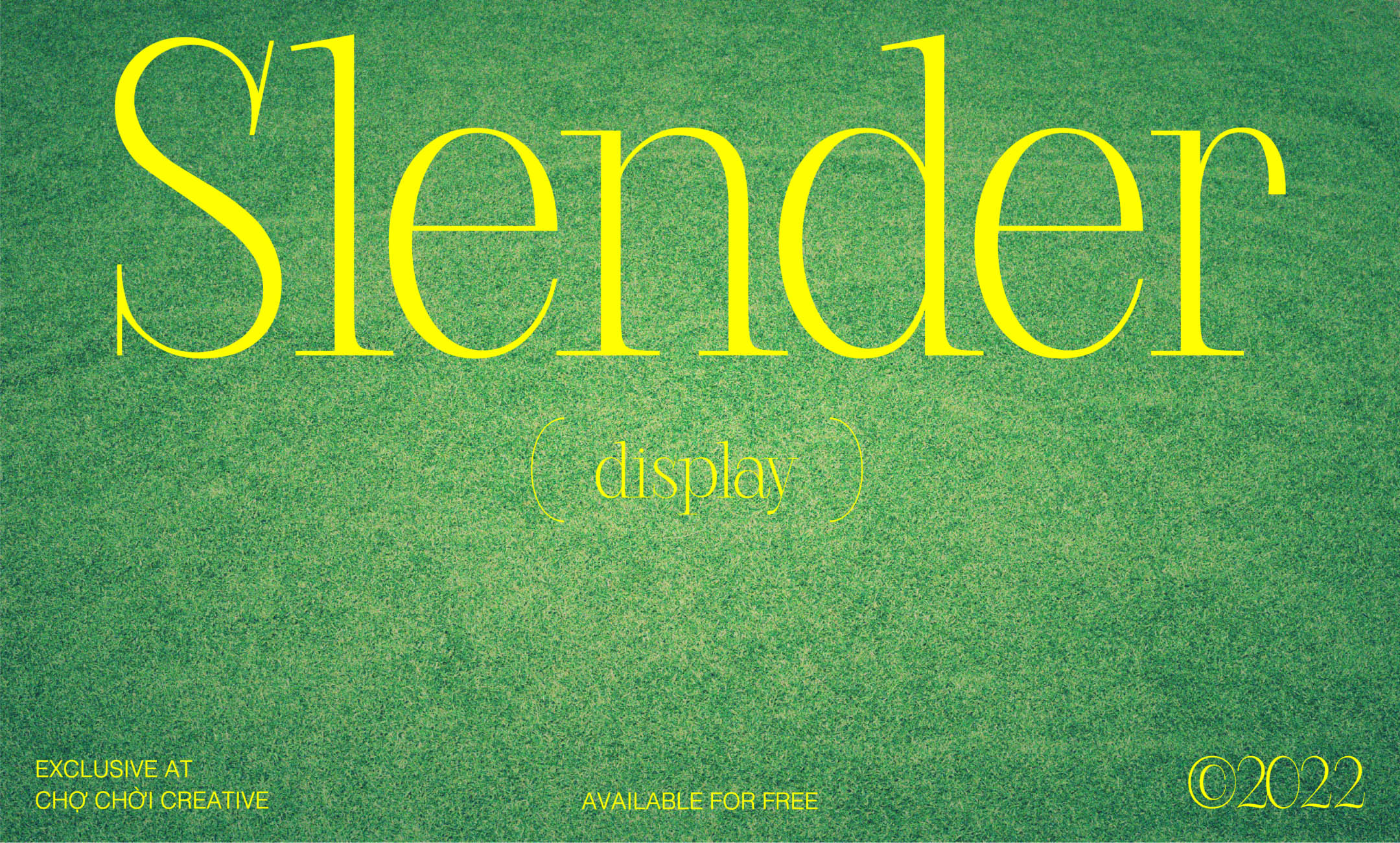 Slender Typeface: Celebrating Subtlety and Elegance in Display Font Design