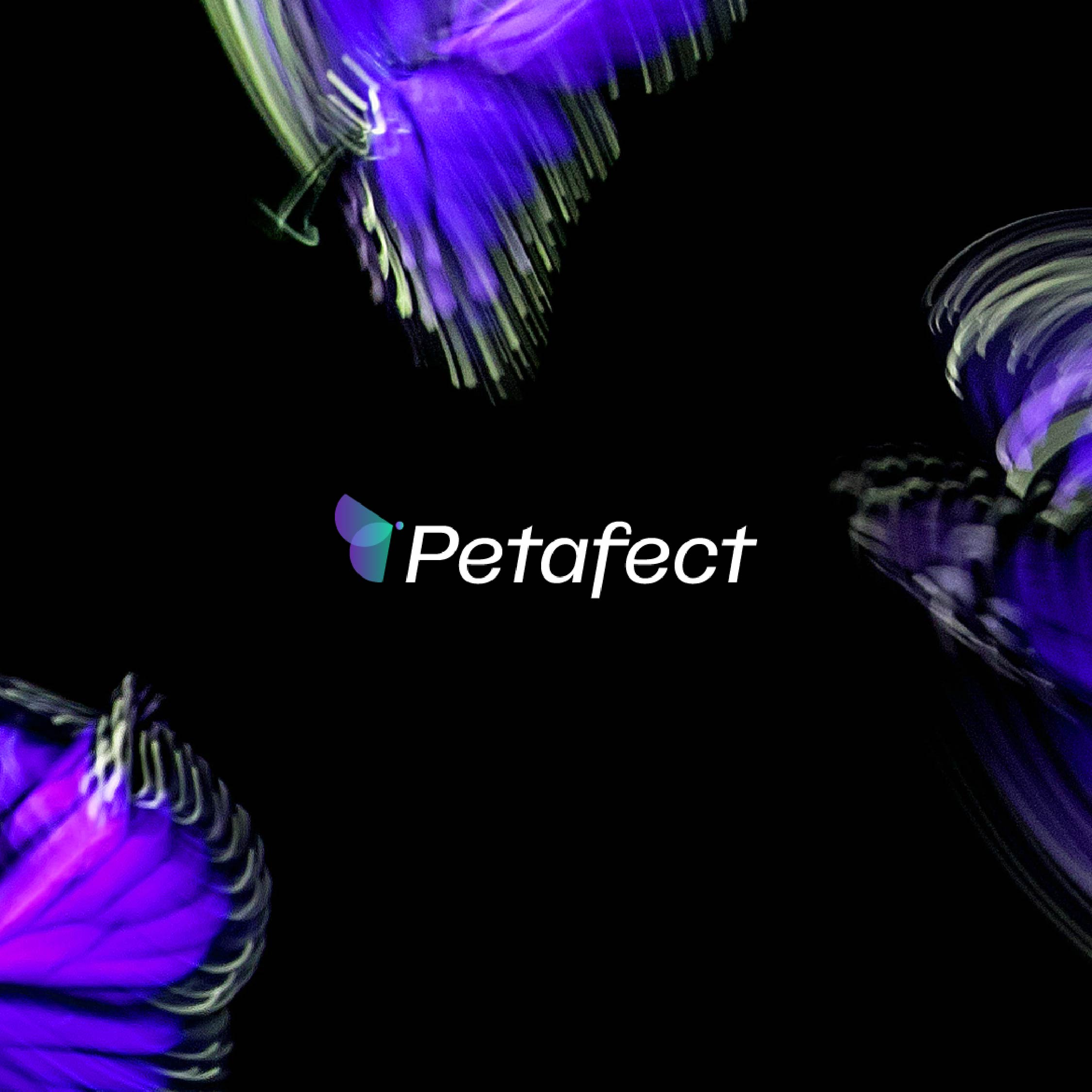 Embracing the Butterfly Effect: Petafect’s Brand Identity Through Precision and Innovation