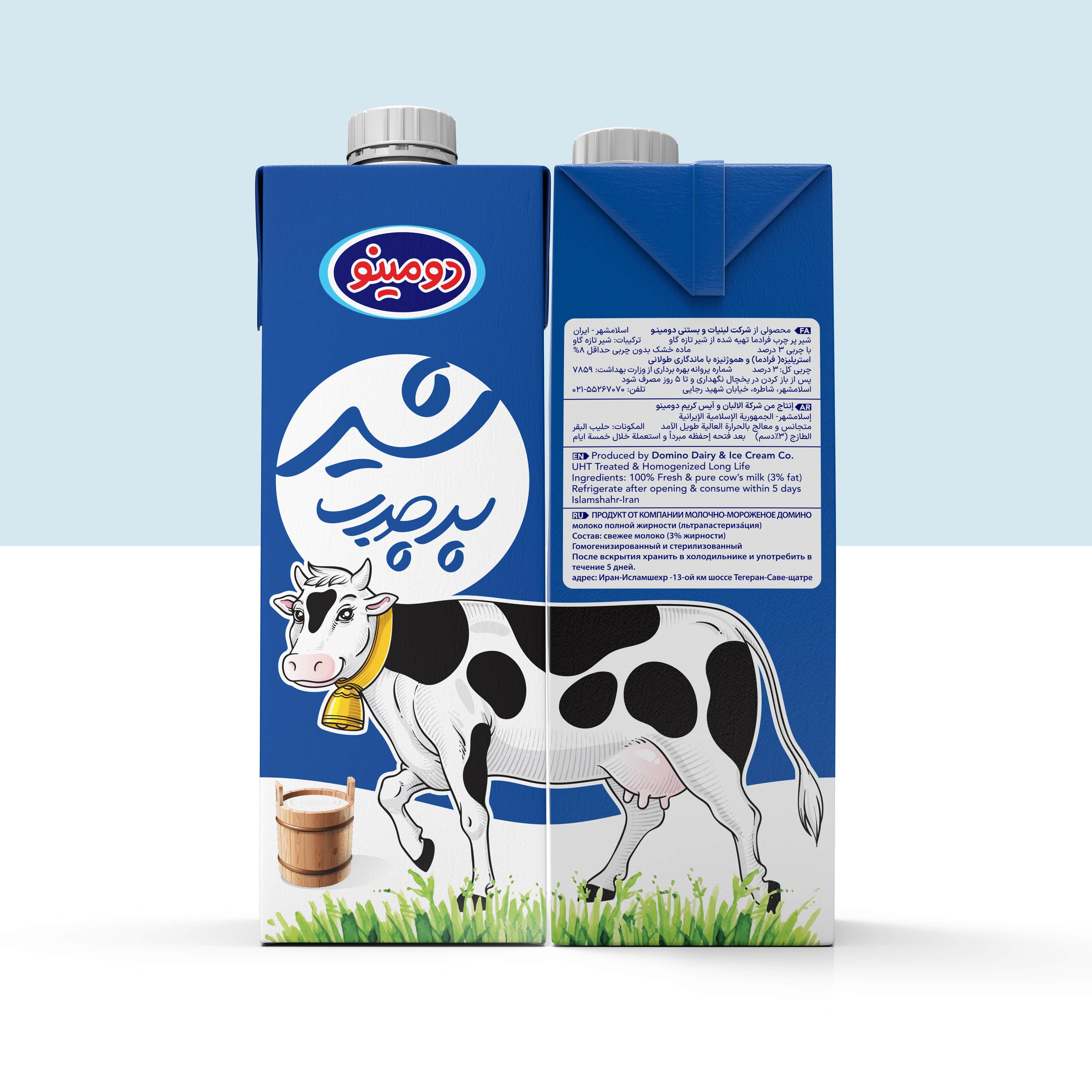 Nasim Zafar Creates Domino’s Dairy Packaging Design of Plain and Flavoured Milks