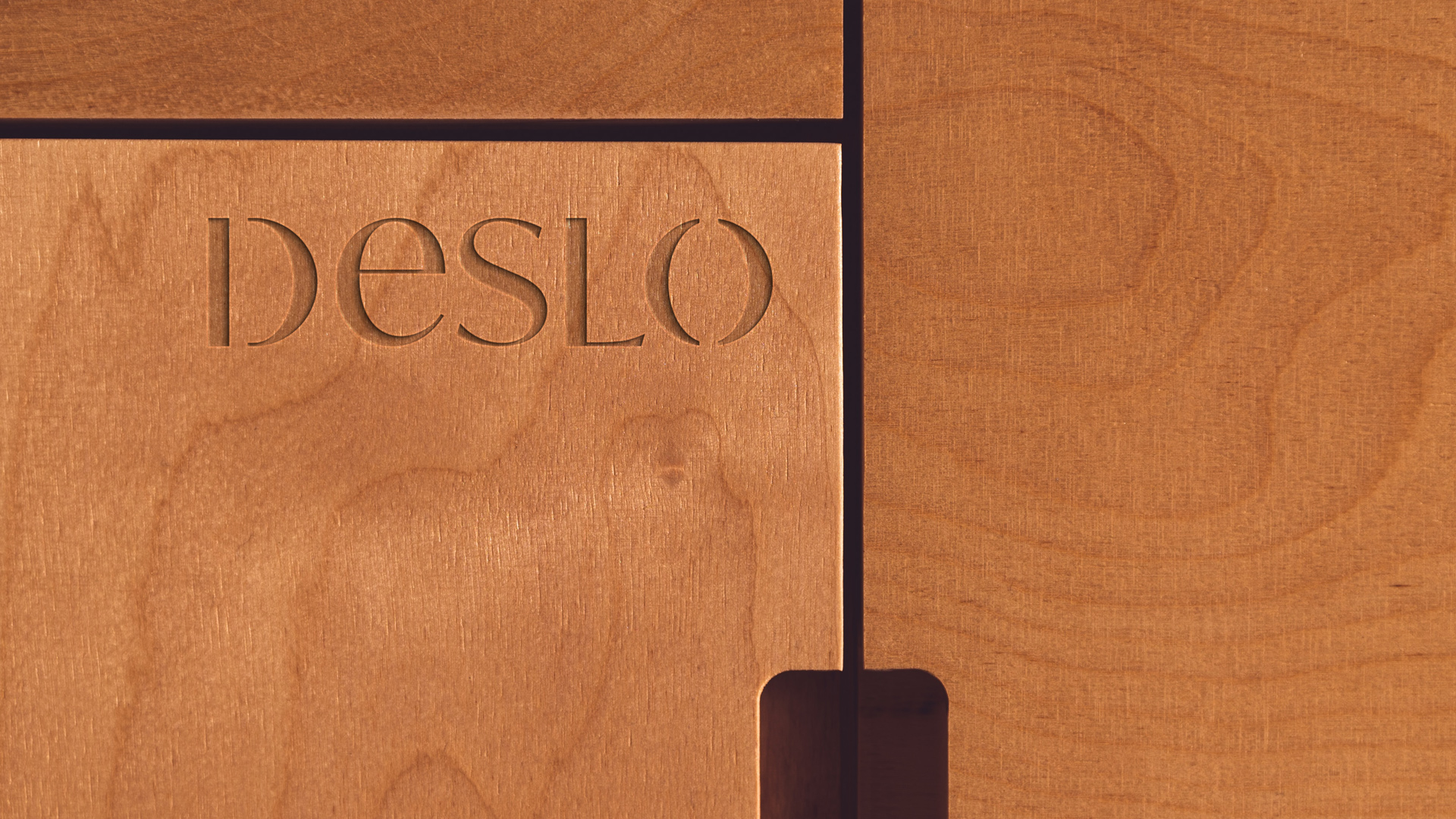 Deslo Brand Identity Designed by André Santos