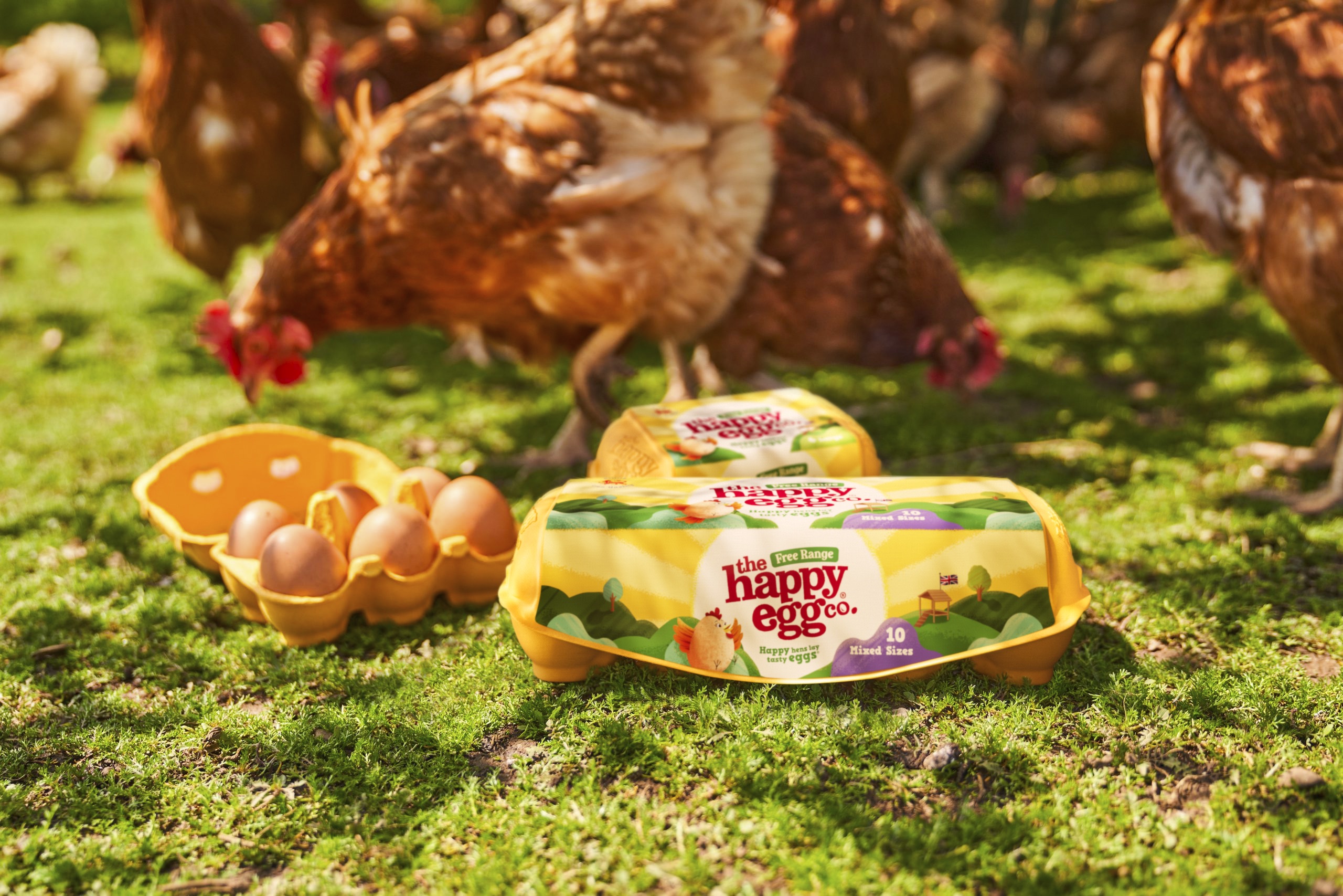 Brandon Helps Celebrate Animal Welfare in a New Visual Identity for the Uk’s Number One Egg Brand