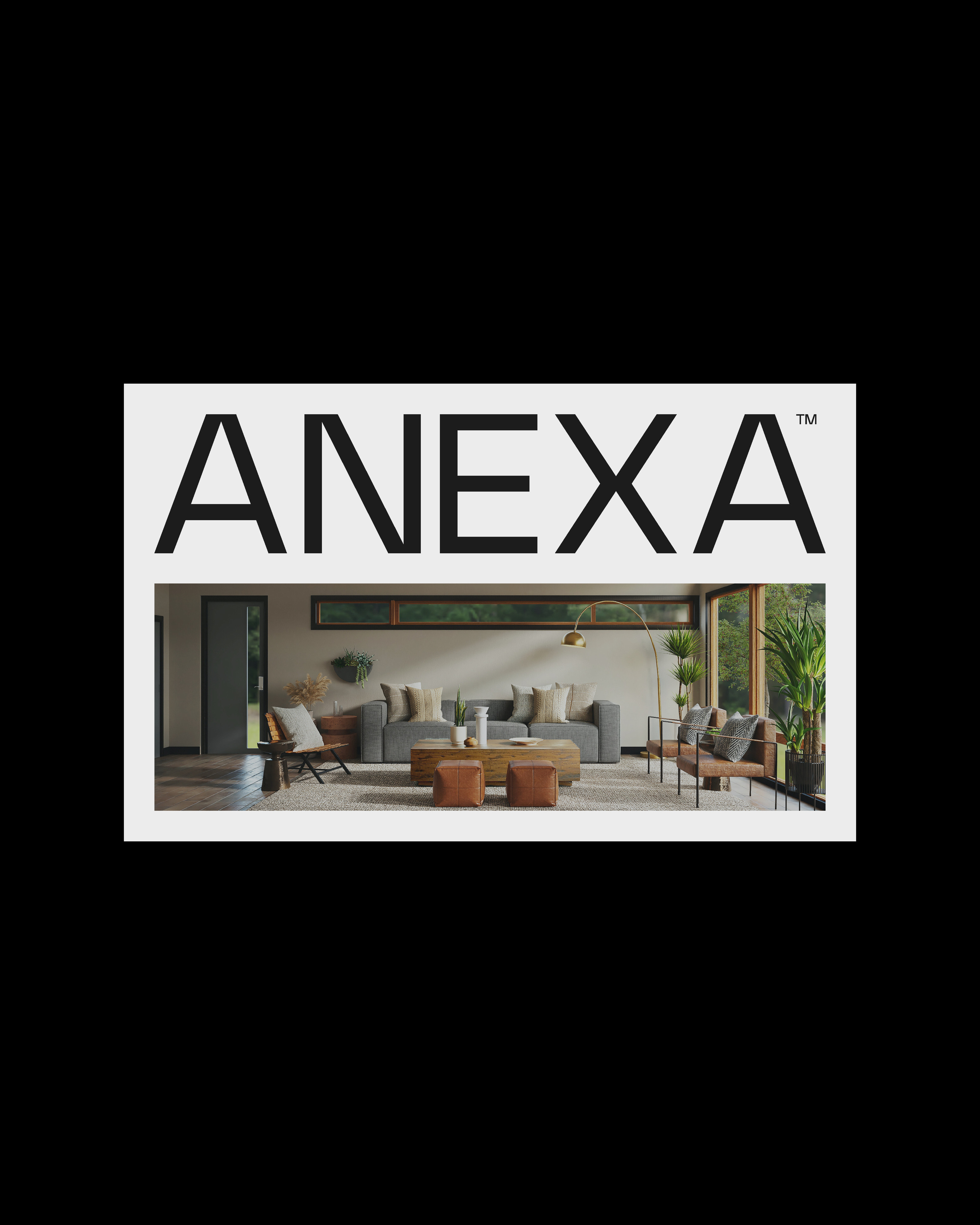 Anexa’s Visual Identity