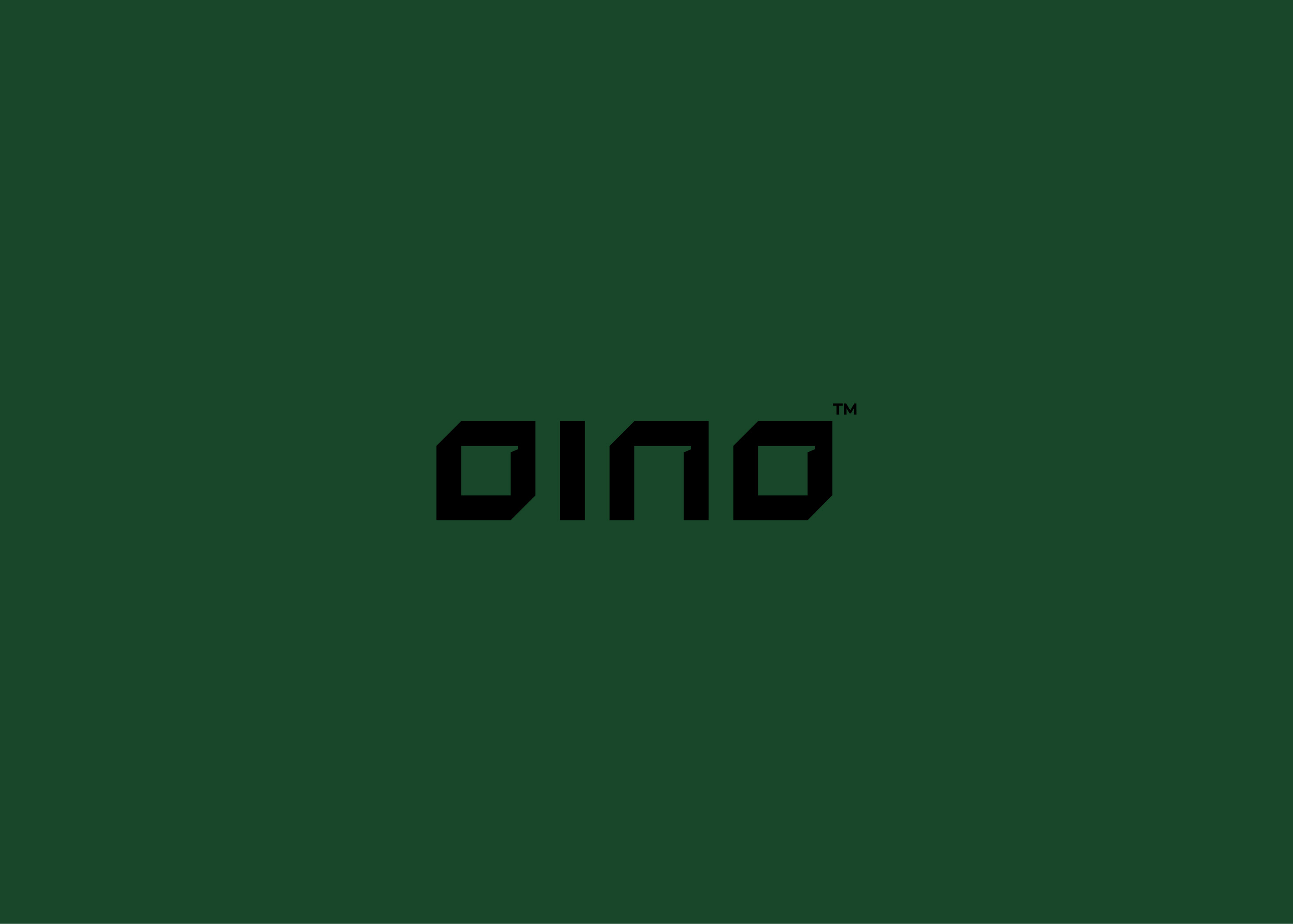 Oino Architecture-Studio