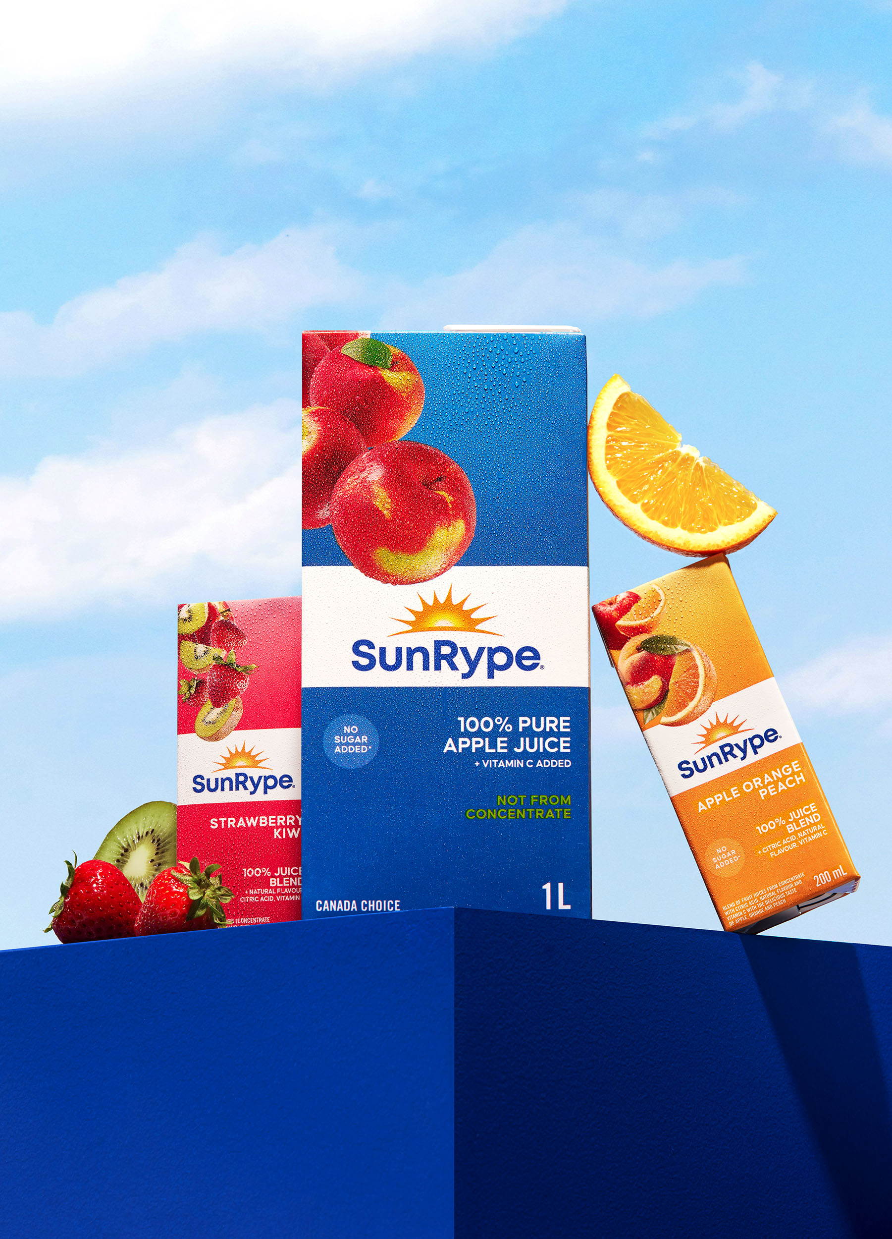 Branding and Packaging Design for SunRype Shine On