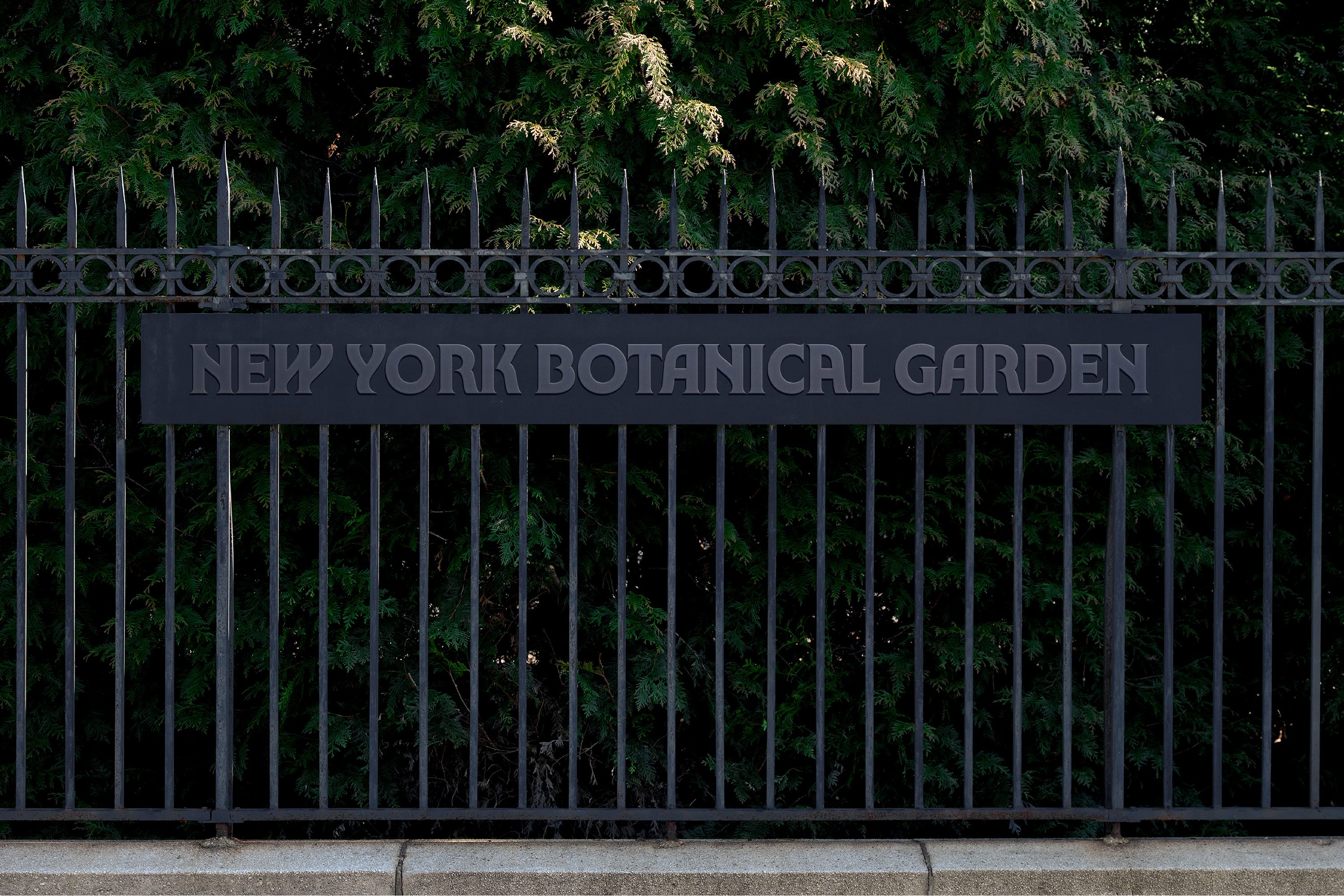 The New York Botanical Garden Unveils Major Brand Refresh In Partnership With Wolff Olins