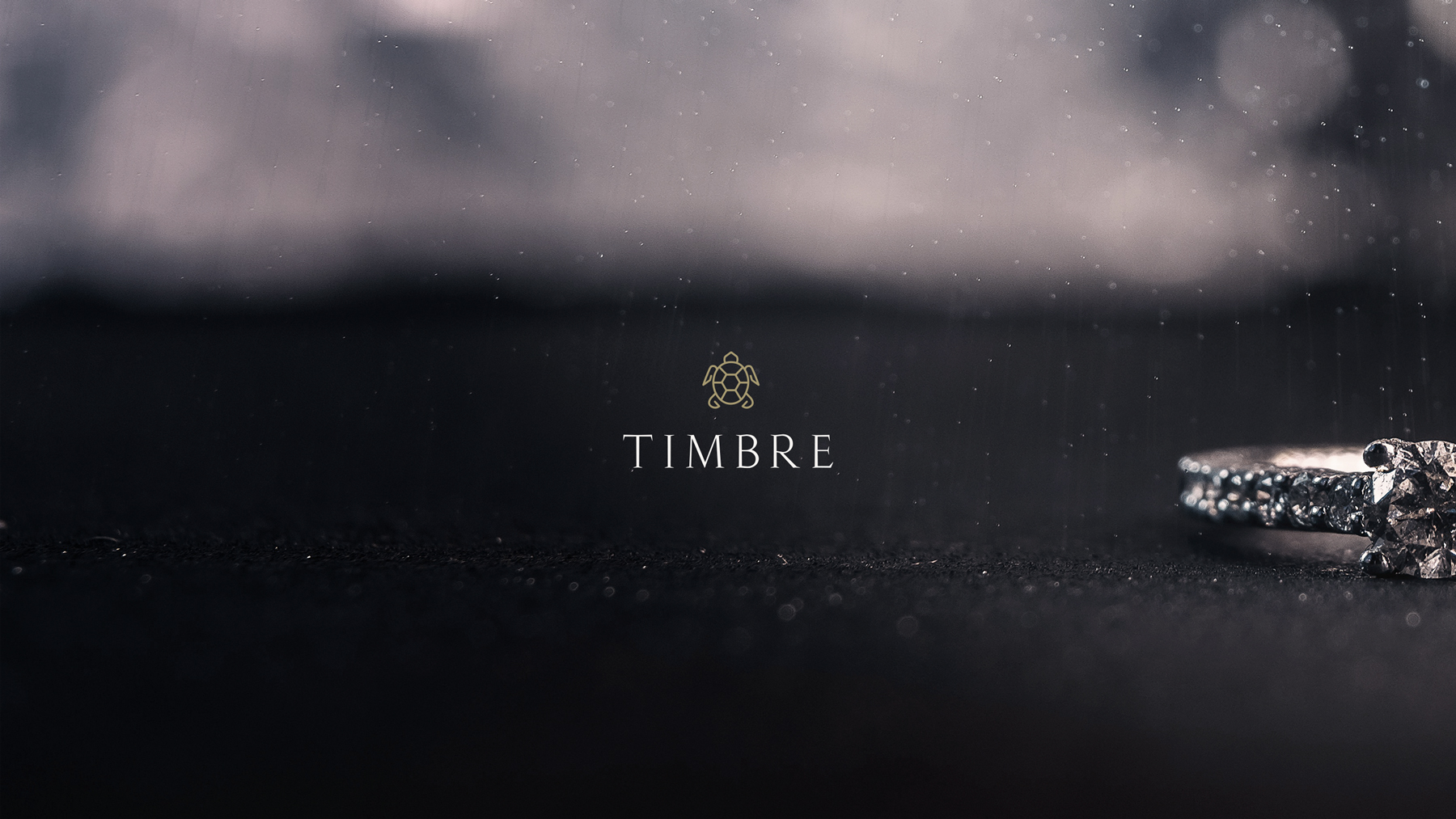 Visual Identity for premium Jewellery Brand Timbre, Created by Elina Ayrapetyan