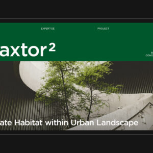 Baxtor² Partners with Chídr Design Studio to Translate Their Harmonious Human-eco Vision Into a Compelling Brand Identity