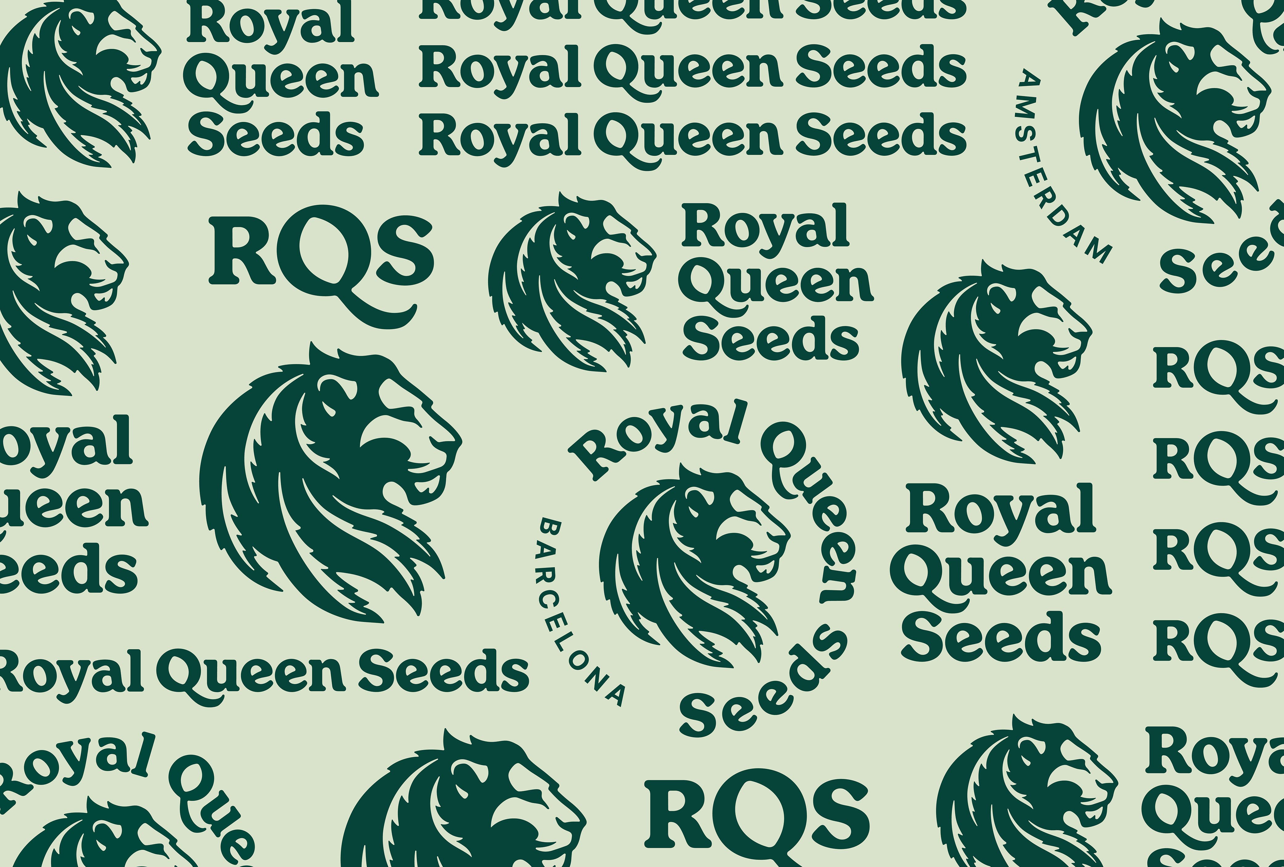 Royal Queen Seeds: Redefining Cannabis Excellence for a Global Audience with the Help of Morillas Branding