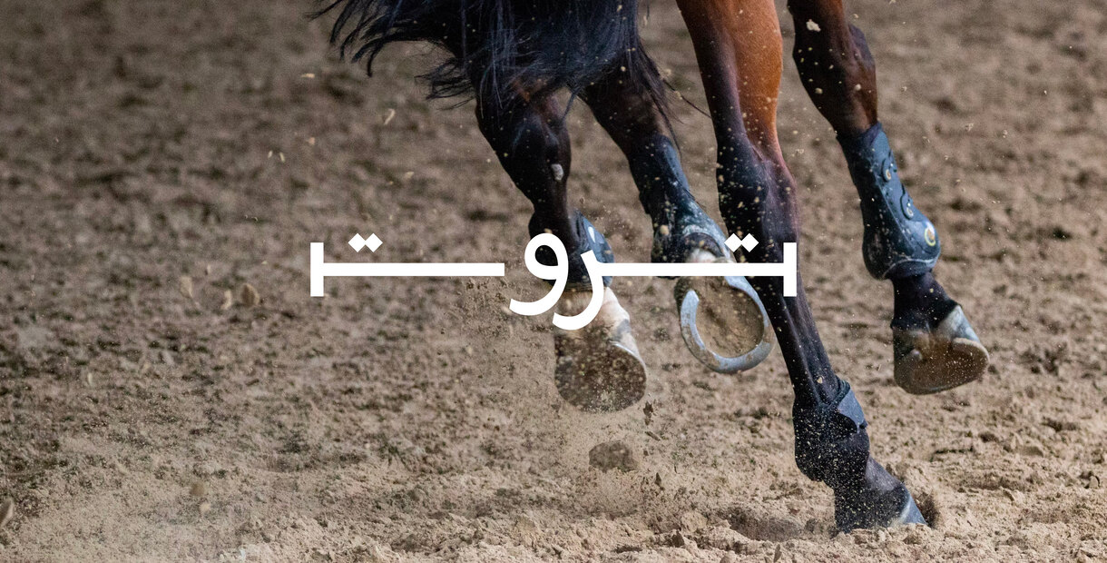 Revolutionising the Equine Industry, Trot Branding by Mohammed Amelougou