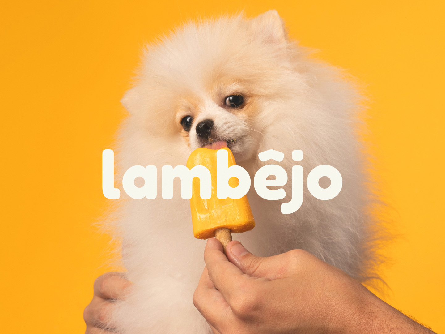 Lambêjo Fruit And Vegetable Popsicle For Dogs by Távola Design