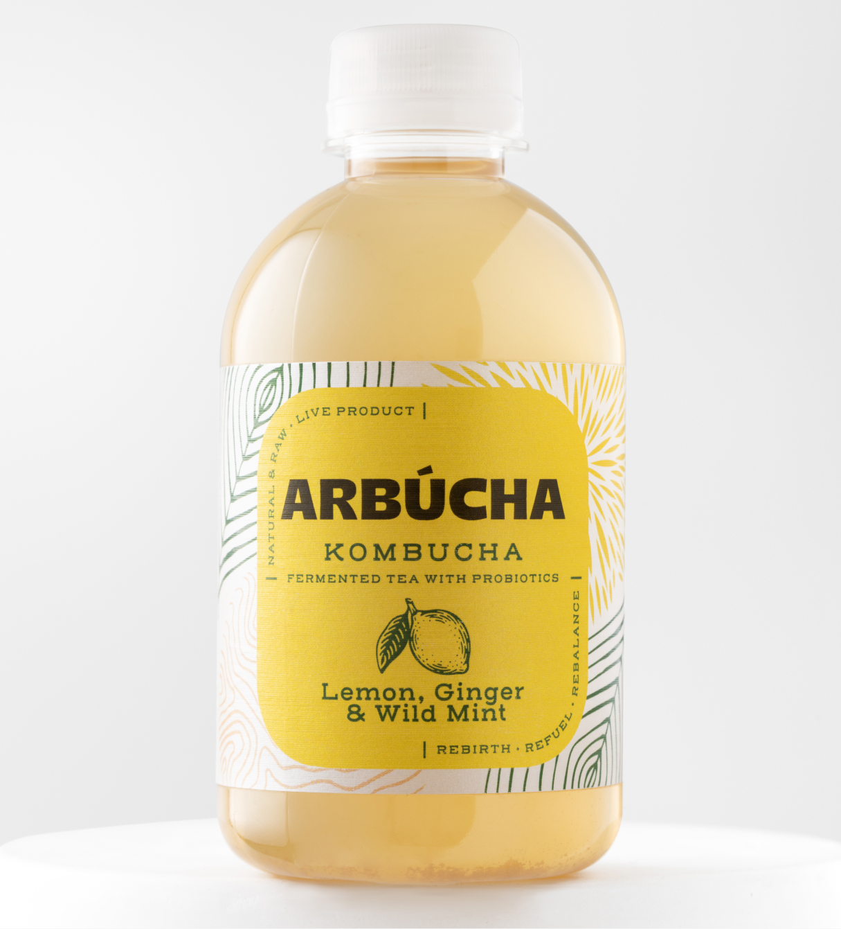 Packaging Design that Helps Pioneer Armenian Kombucha Brand Arbucha, Designed by Indigo Branding Agency