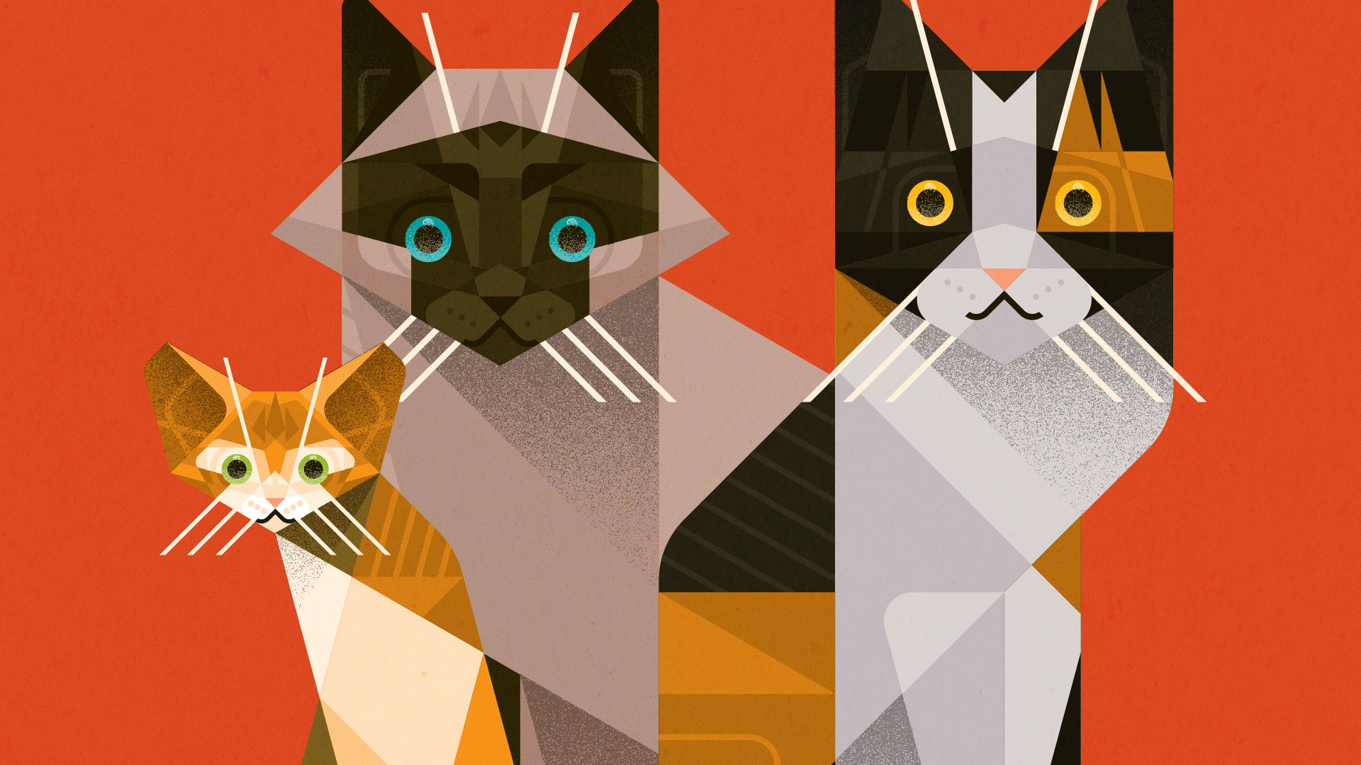 3rd Floor’s Illustrations for Coop Cat Treats Packaging Design Concept