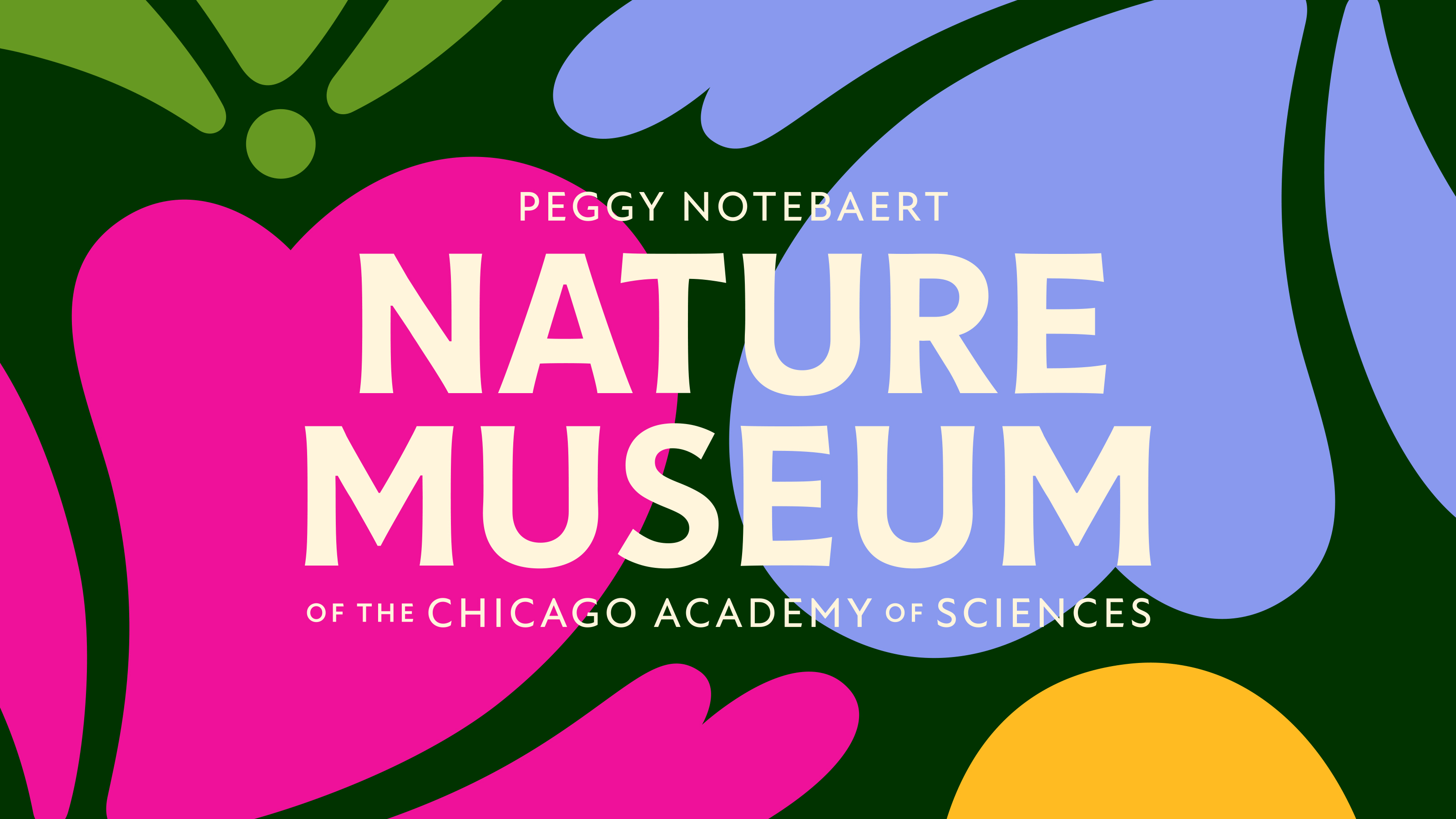 Span Studio Revitalises Visual Identity of Peggy Notebaert Nature Museum