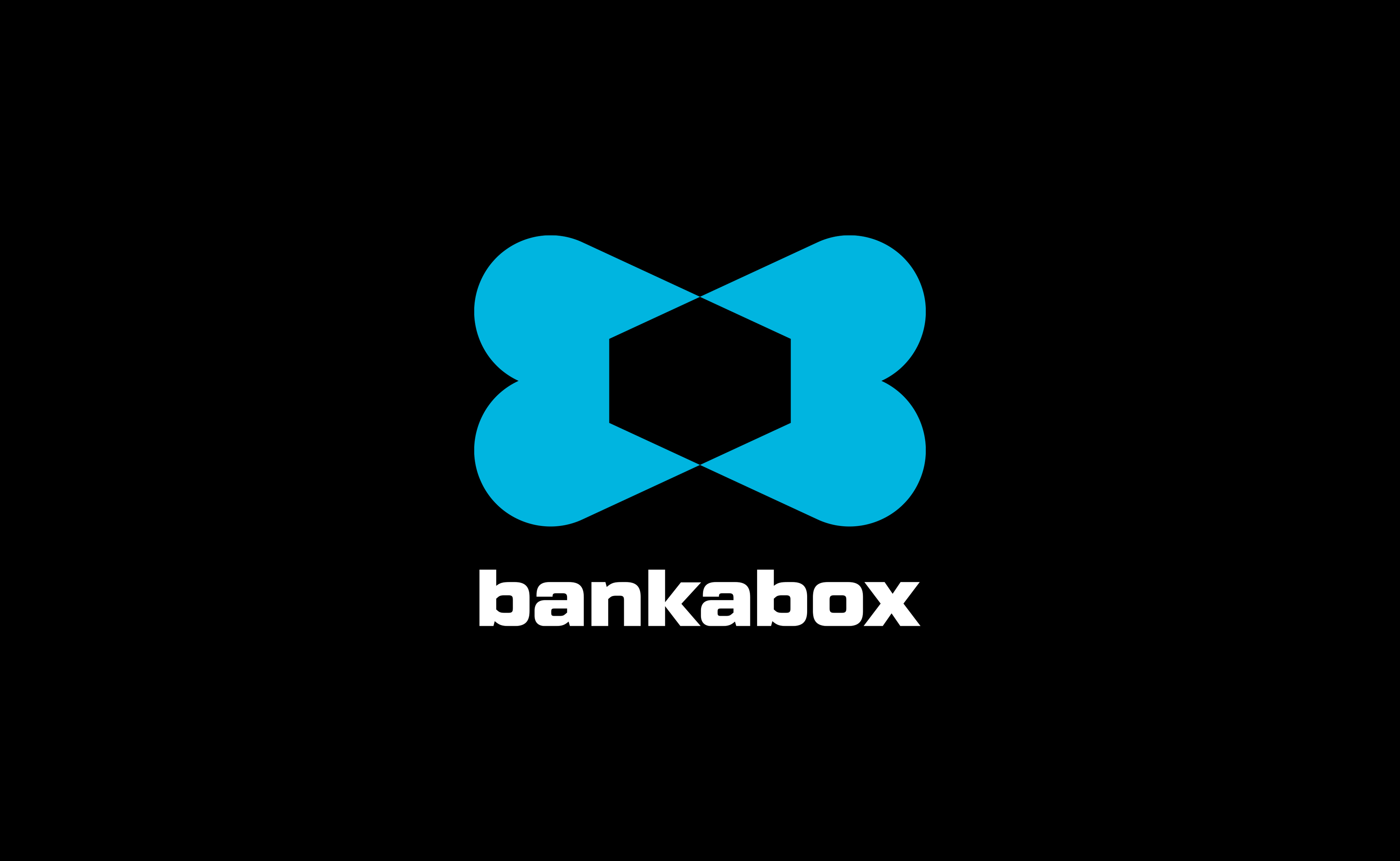 Bold Rebrand for Bankabox by Lisa Sirbaugh Creative