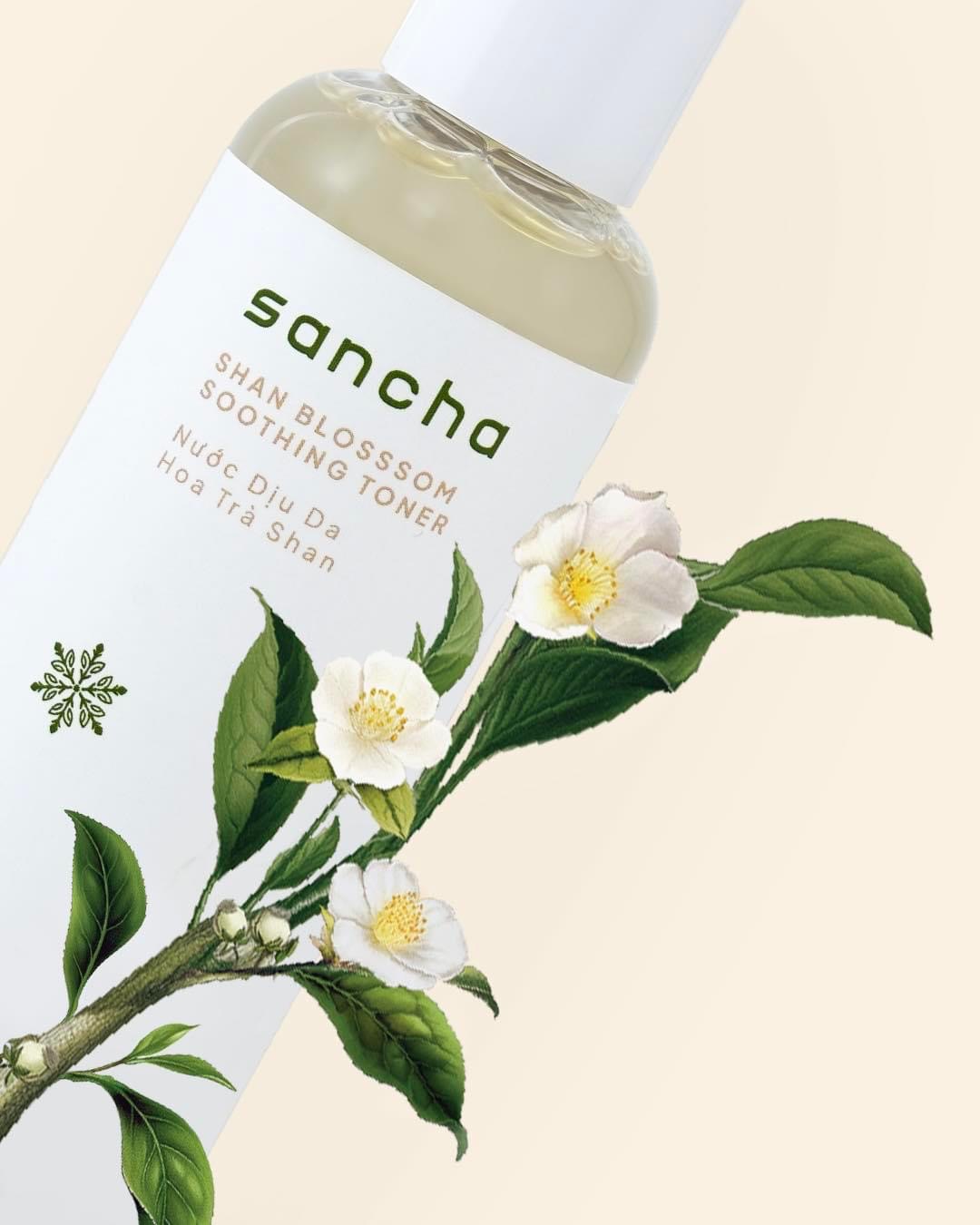 Sancha Vegan Cosmetics Brand Identity