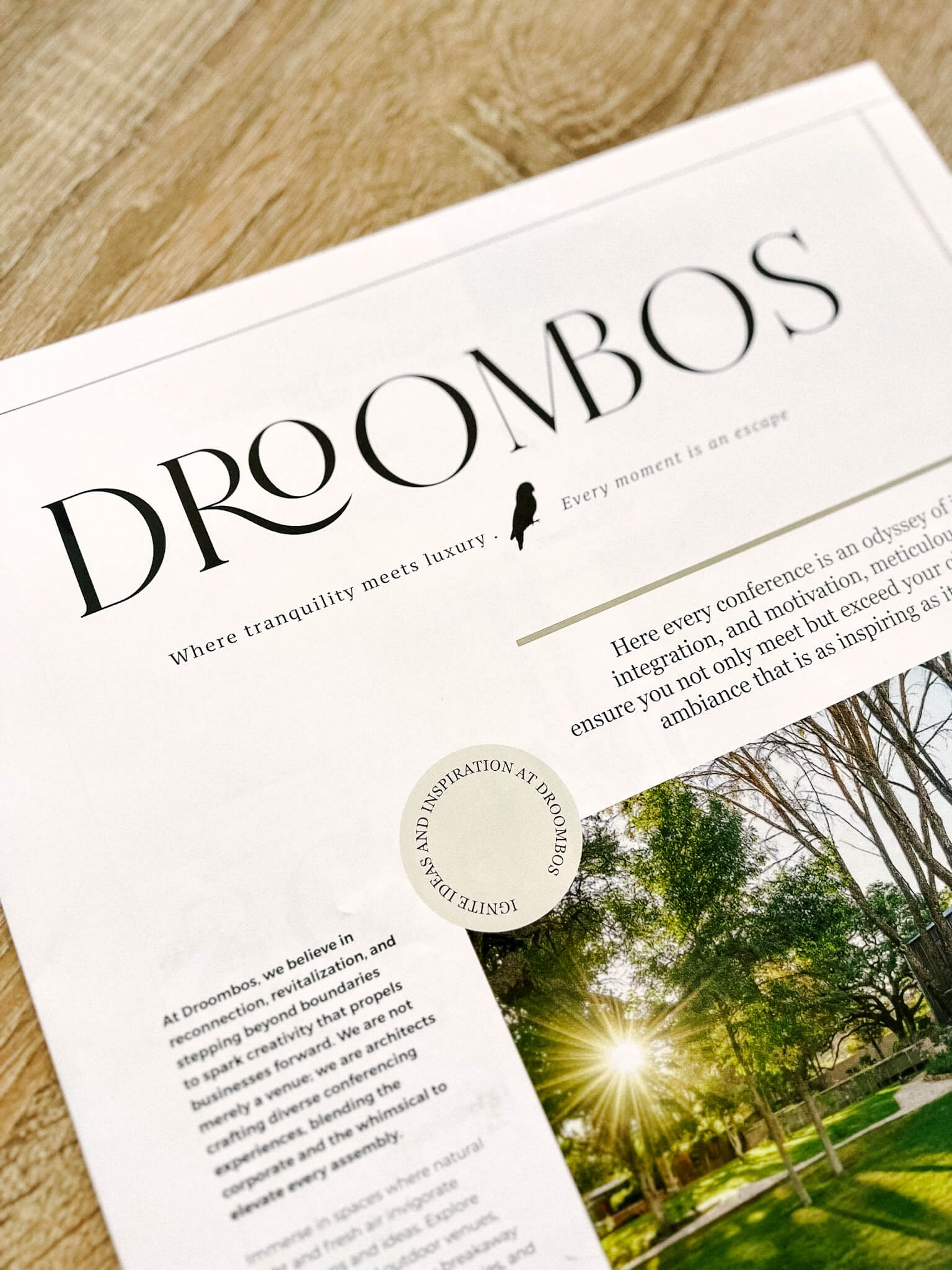 Evolving Droombos Branding and Packaging Design by KunsHuis Design