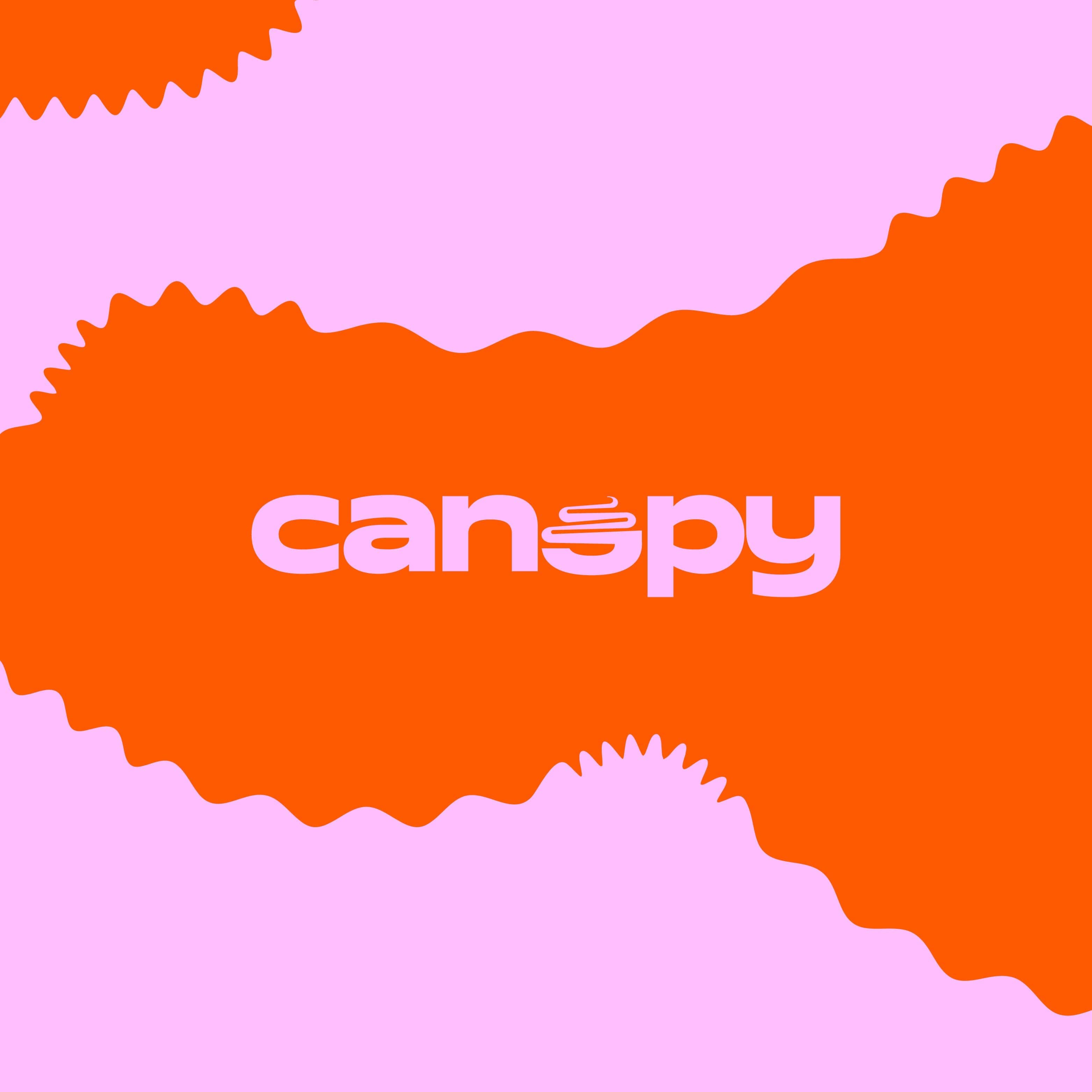 Canopy Ice-cream Shop Logo and Brand Identity