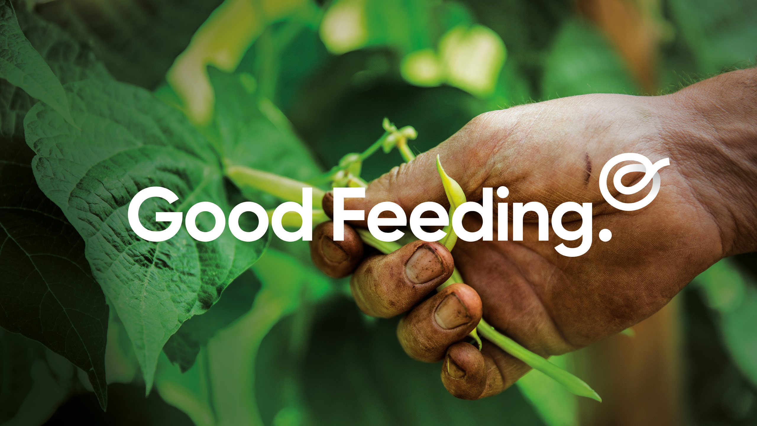 Tried&True Design Crafts Impactful Brand Identity for Good Feeding’s Go Well Programme