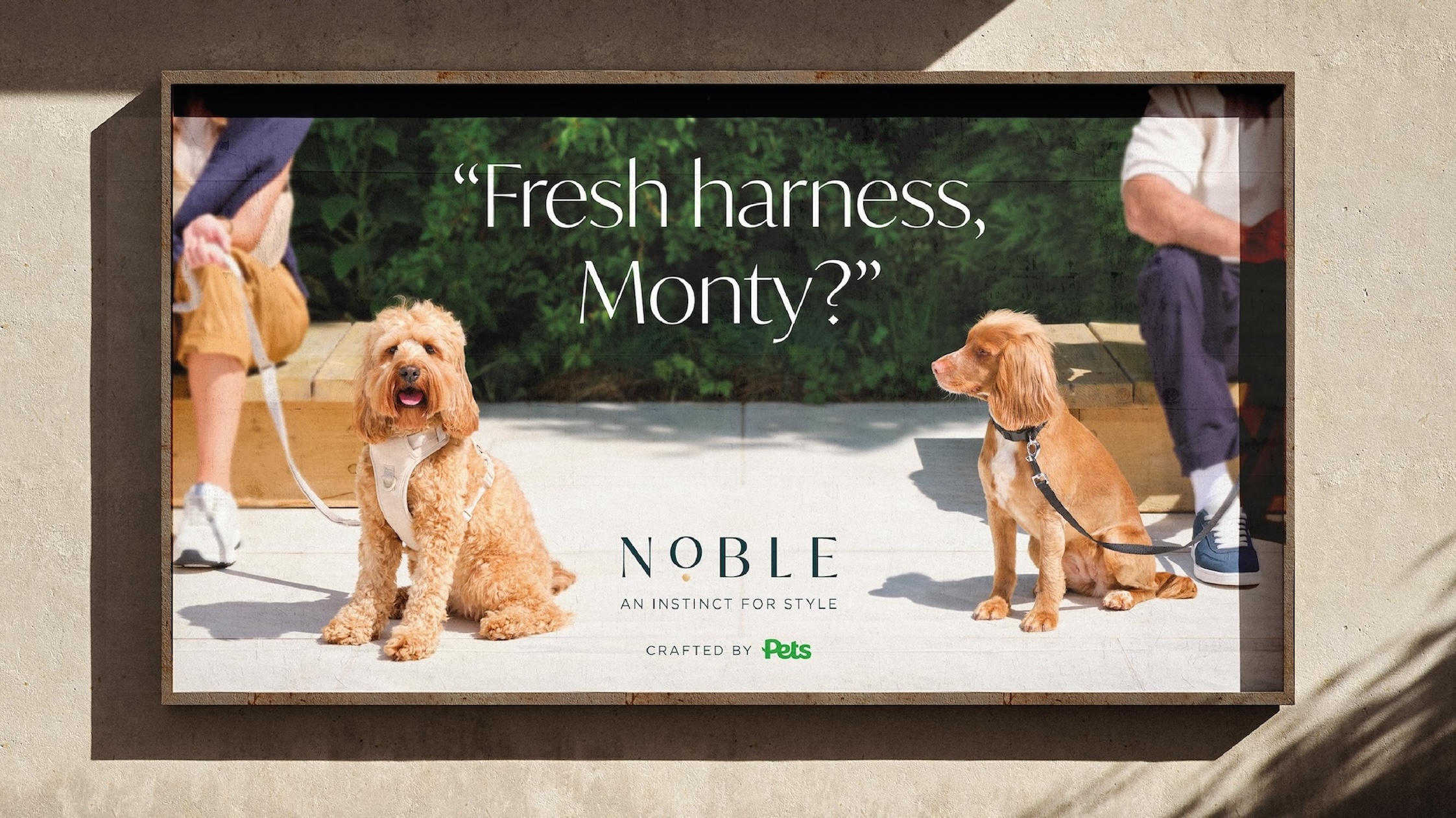 Stormbrands Taps Into an Instinct for Style With Noble, Pets at Home’s New Affordable Luxury Accessories Brand