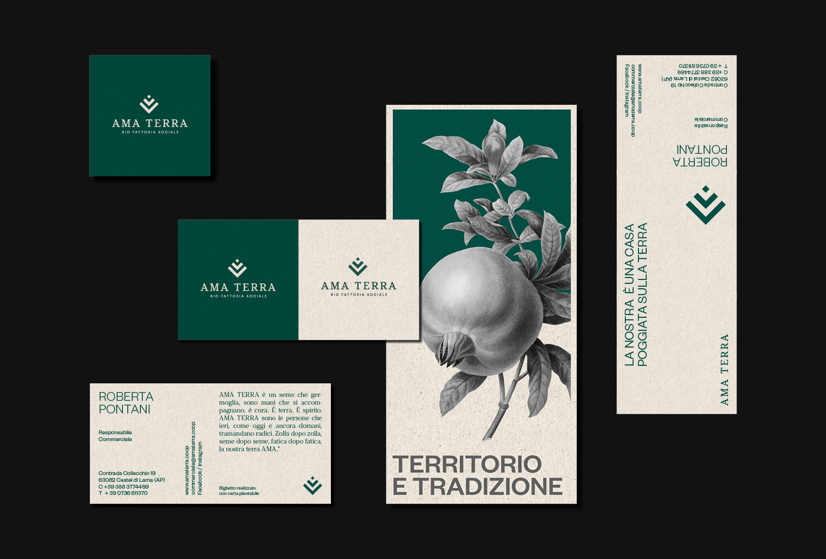 Ama Terra Brand Identity by emmesse_gr