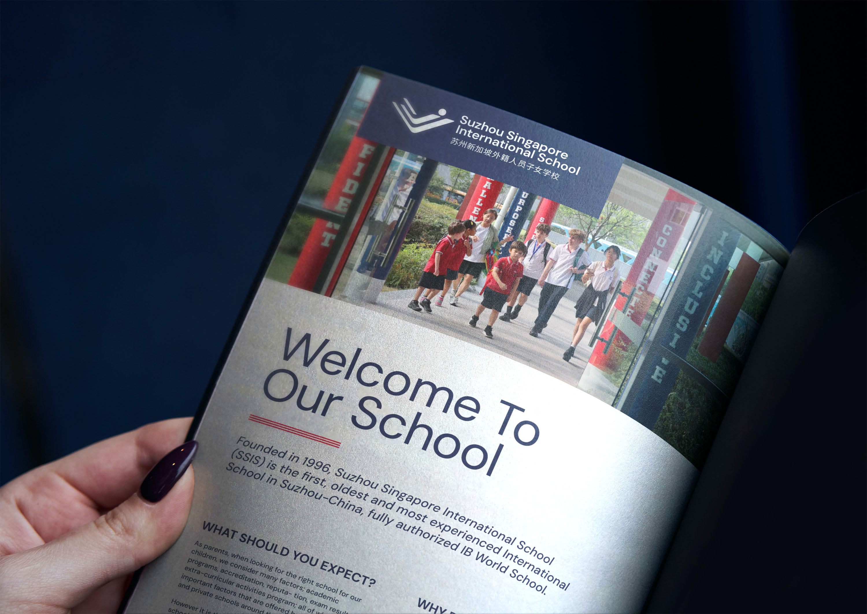 Polished Brand Identity For An International School