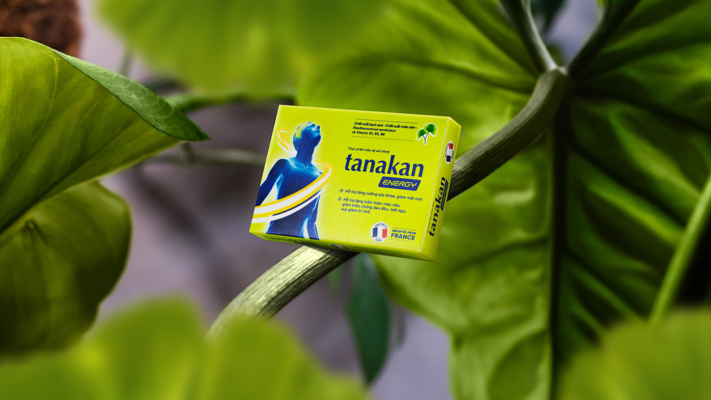 Ipsen Pharma’s “Tanakan” Packaging Refresh: Merging Tradition and Modern Design