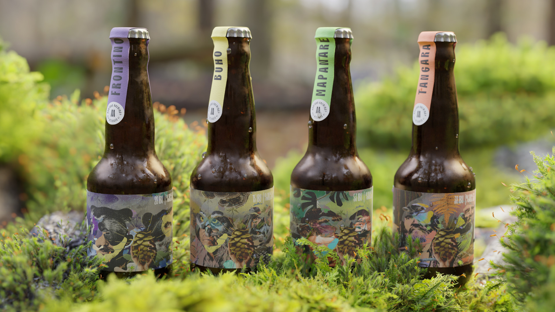 Montano Brewing’s Creative Label Design Captures the Essence of Colombia’s Cloud Forest