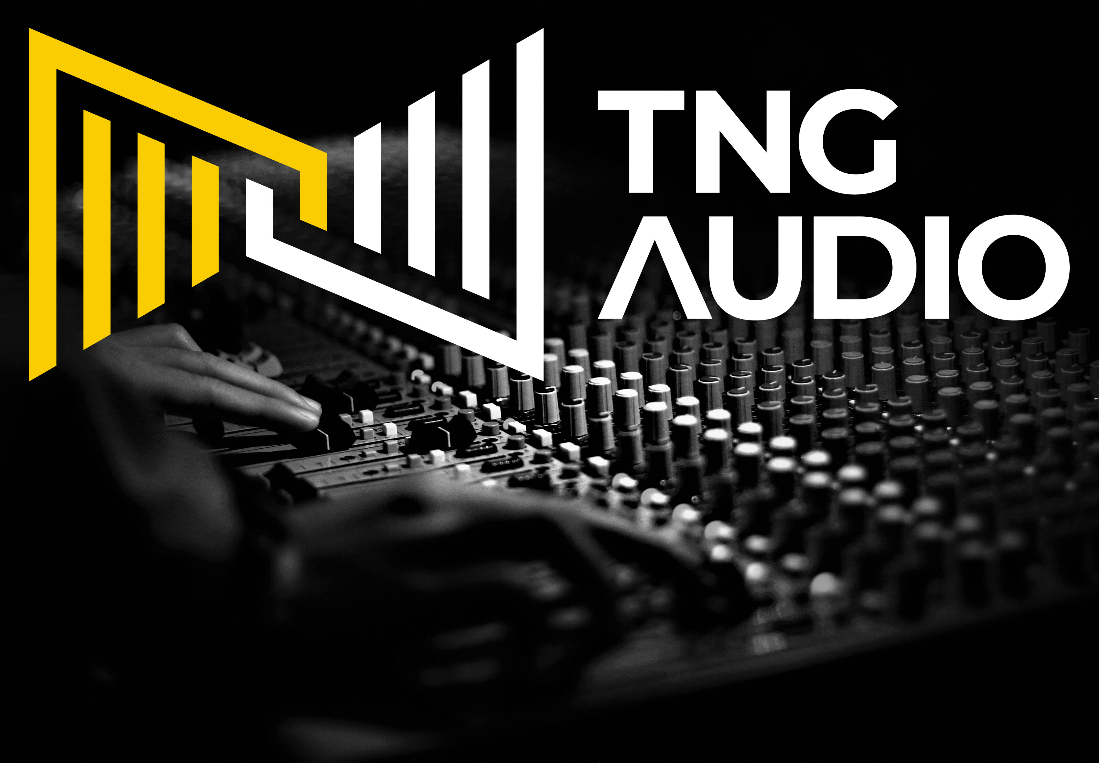 Leo Dang Creates TNG Audio Brand Identity