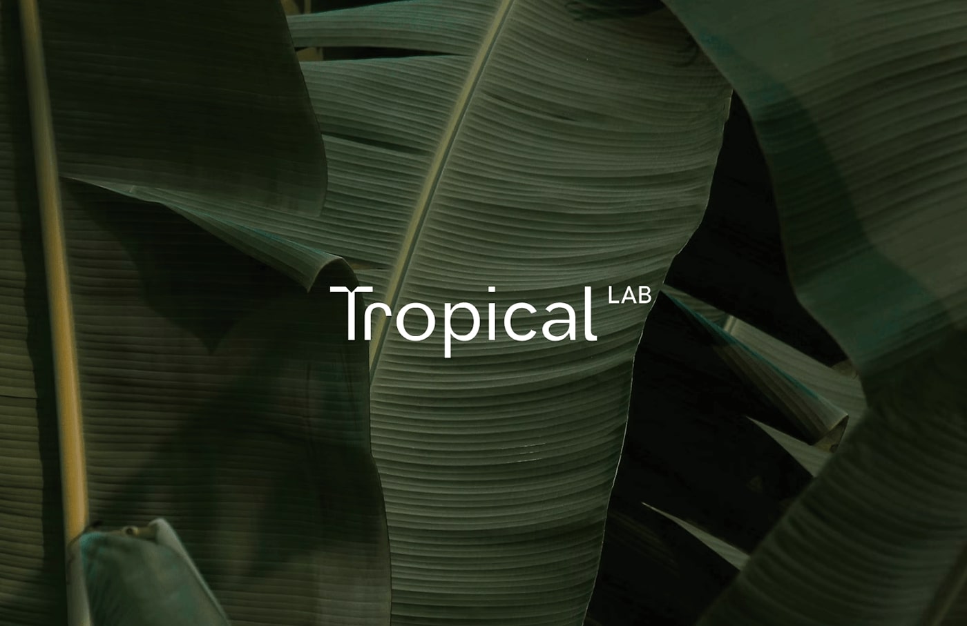 Building in Harmony: Tropical Lab’s Nature-Inspired Architectural Brand Identity