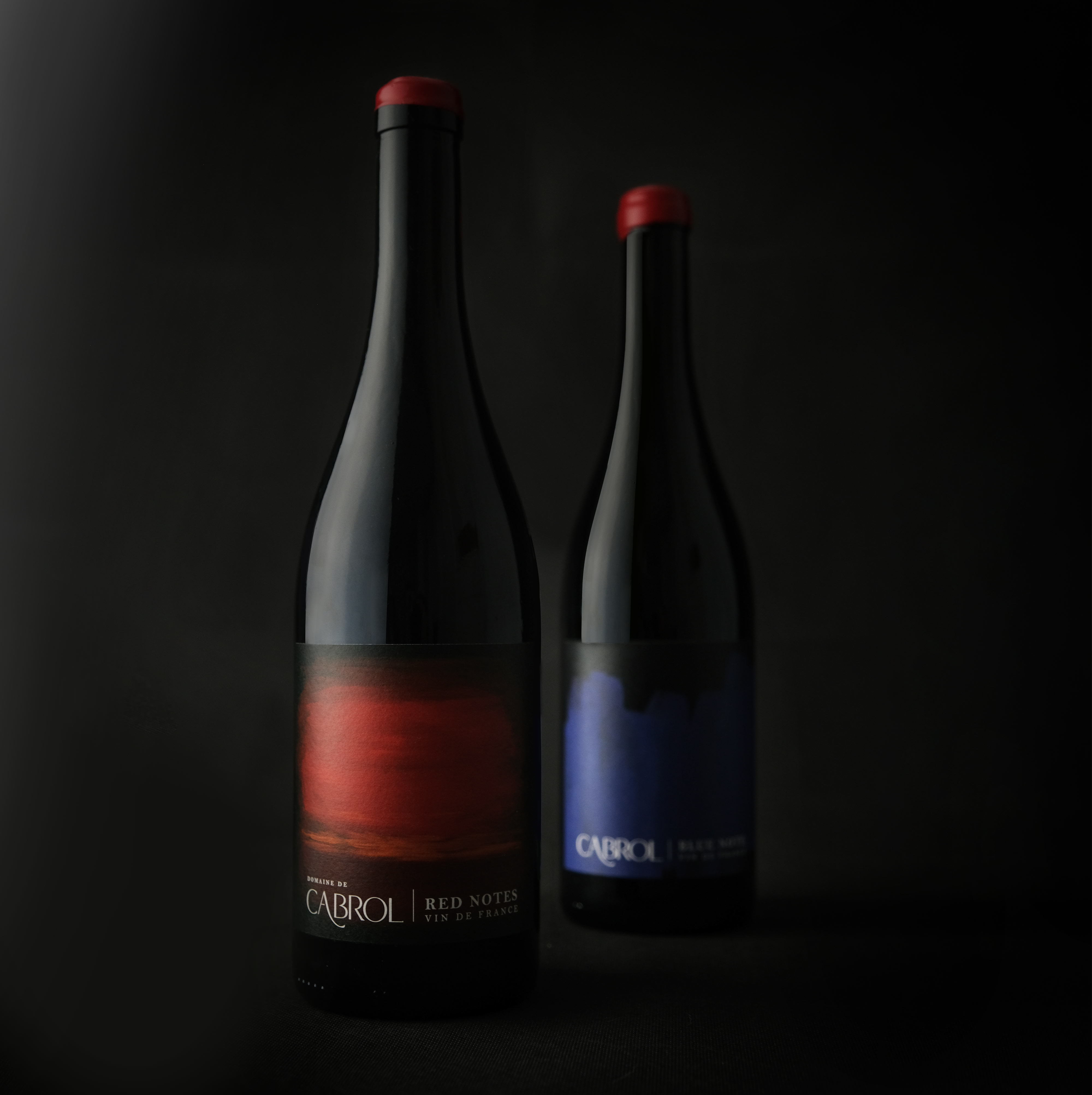 Domaine De Cabrol – Blue Note and Red Notes by Agence des coteaux