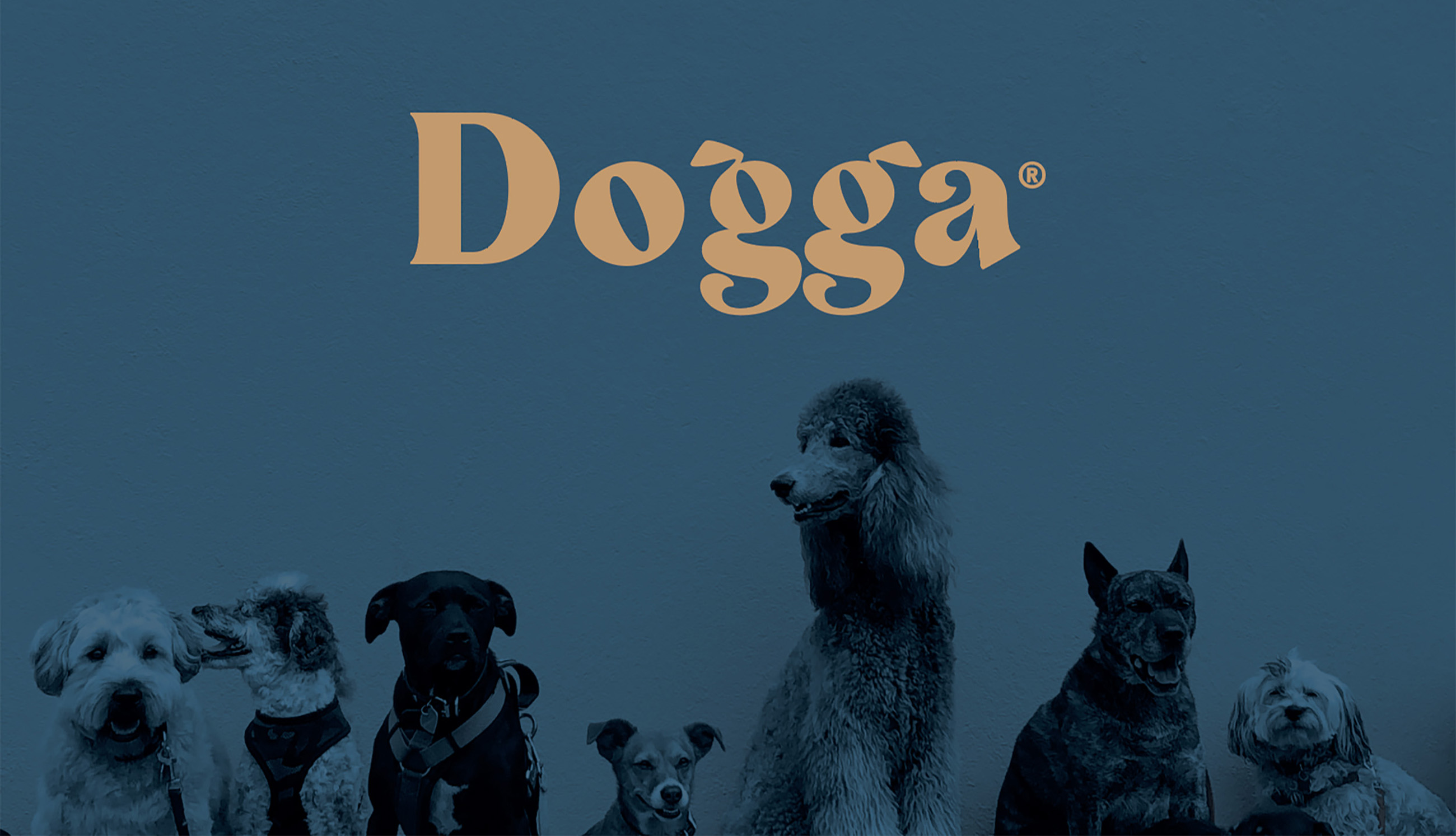 Branding for Dogga Expert Pet Happiness by Mang Sánchez Studio