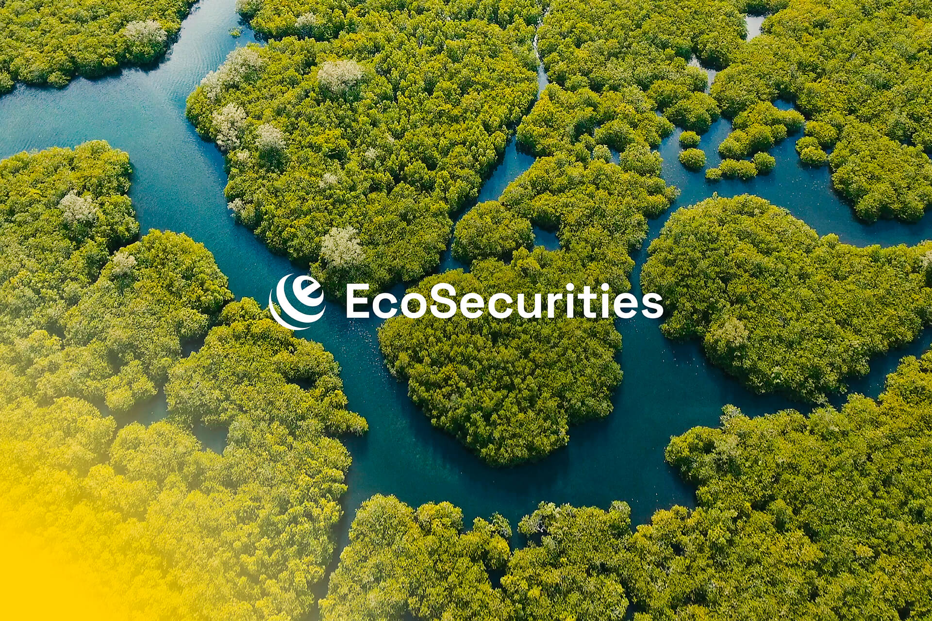 Thisaway Creates a New Brand for Ecosecurities; the Global Experts in Grounded, Climate Impact Innovation